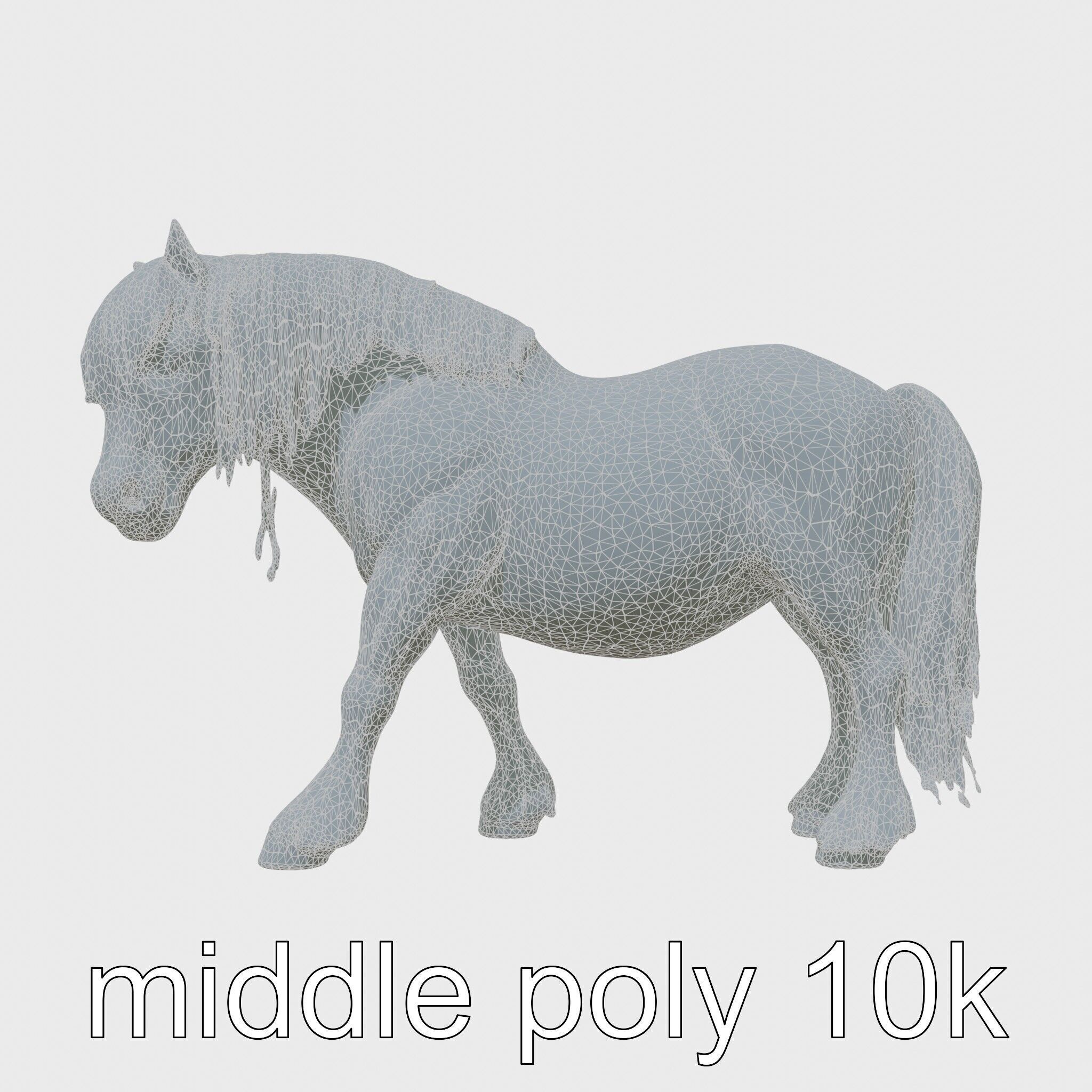 Friesian Horse with Flowing Mane and Feathered Legs Low-poly 3D model_5