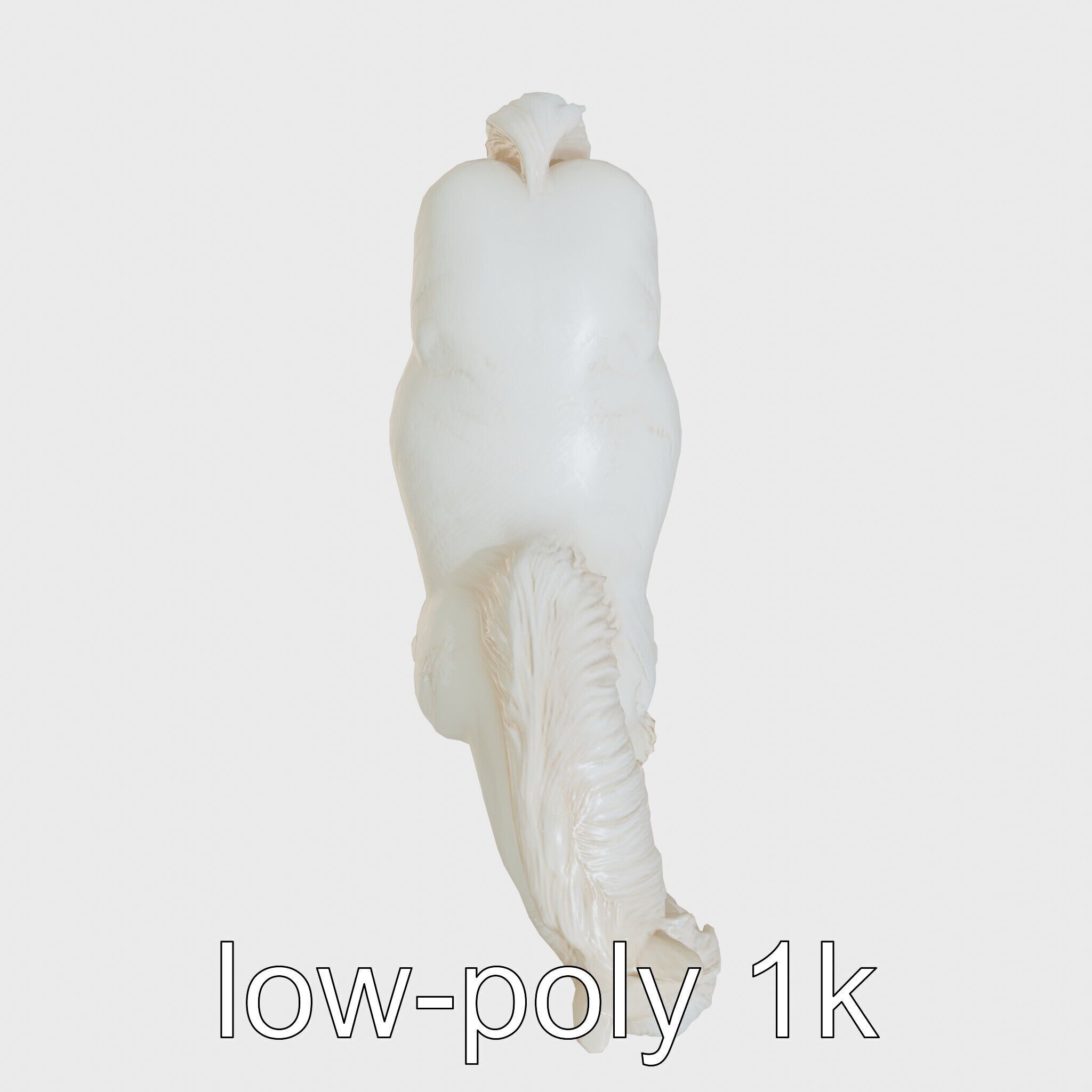 Friesian Horse with Flowing Mane and Feathered Legs Low-poly 3D model_9