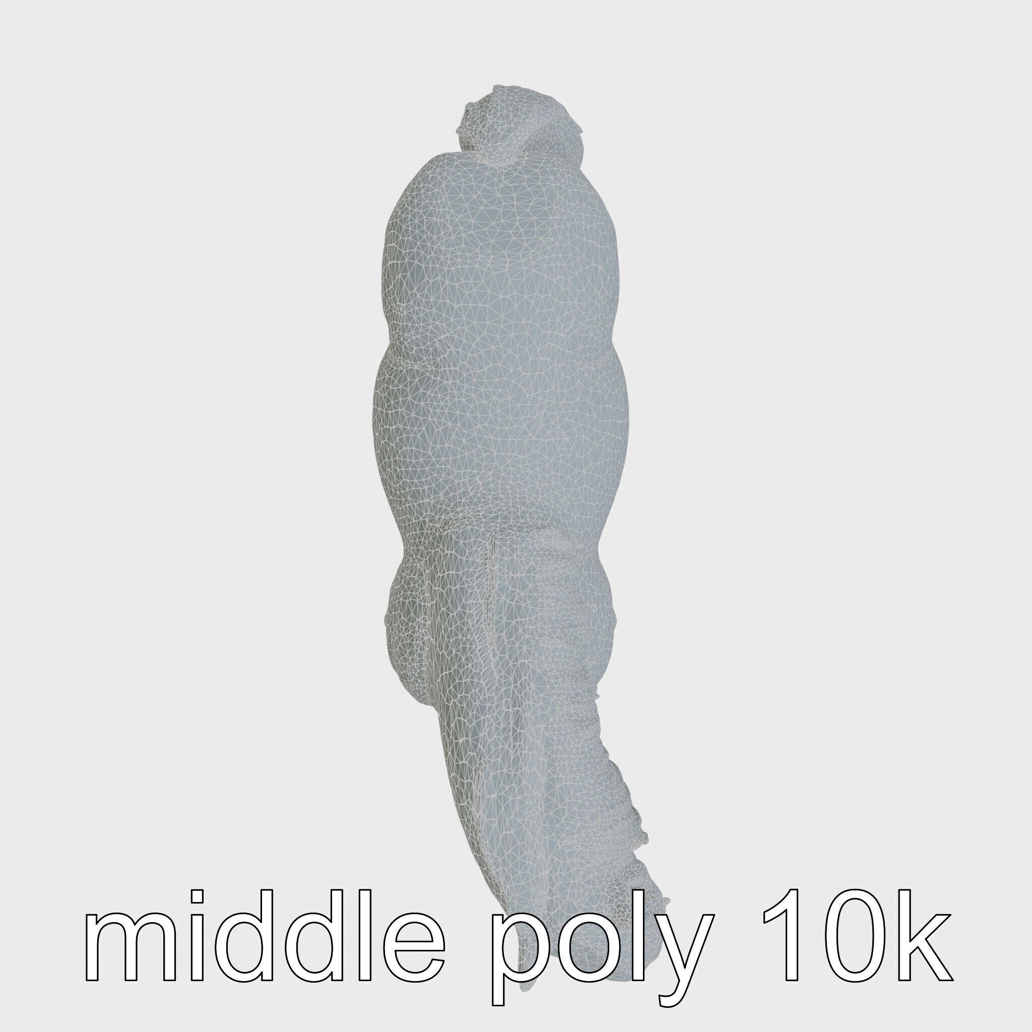 Friesian Horse with Flowing Mane and Feathered Legs Low-poly 3D model_18