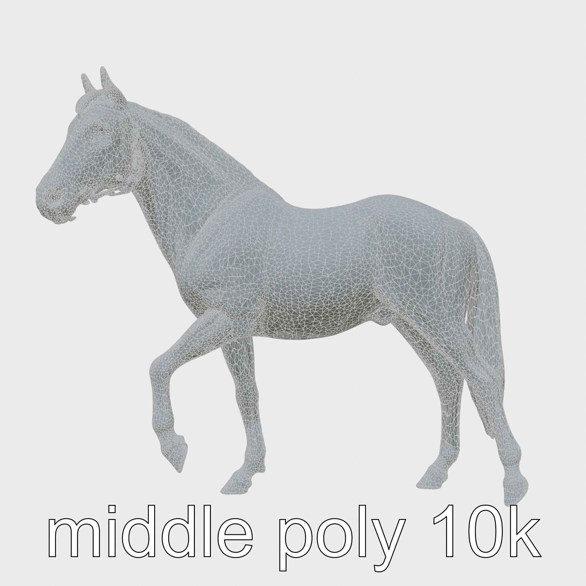 Bay Tennessee Walker Horse 3D Model Low-poly 3D model_15