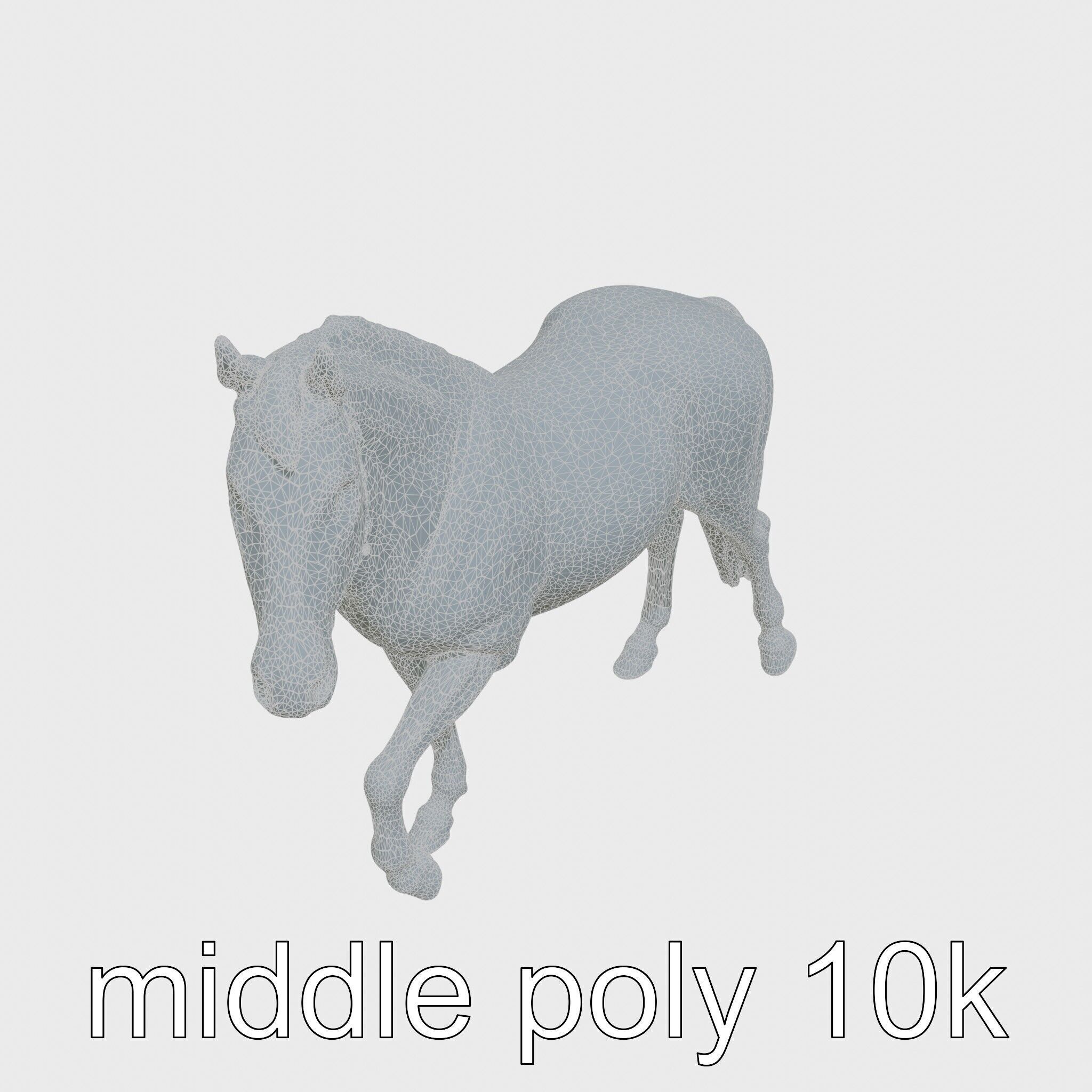Bay Tennessee Walker Horse 3D Model Low-poly 3D model_21