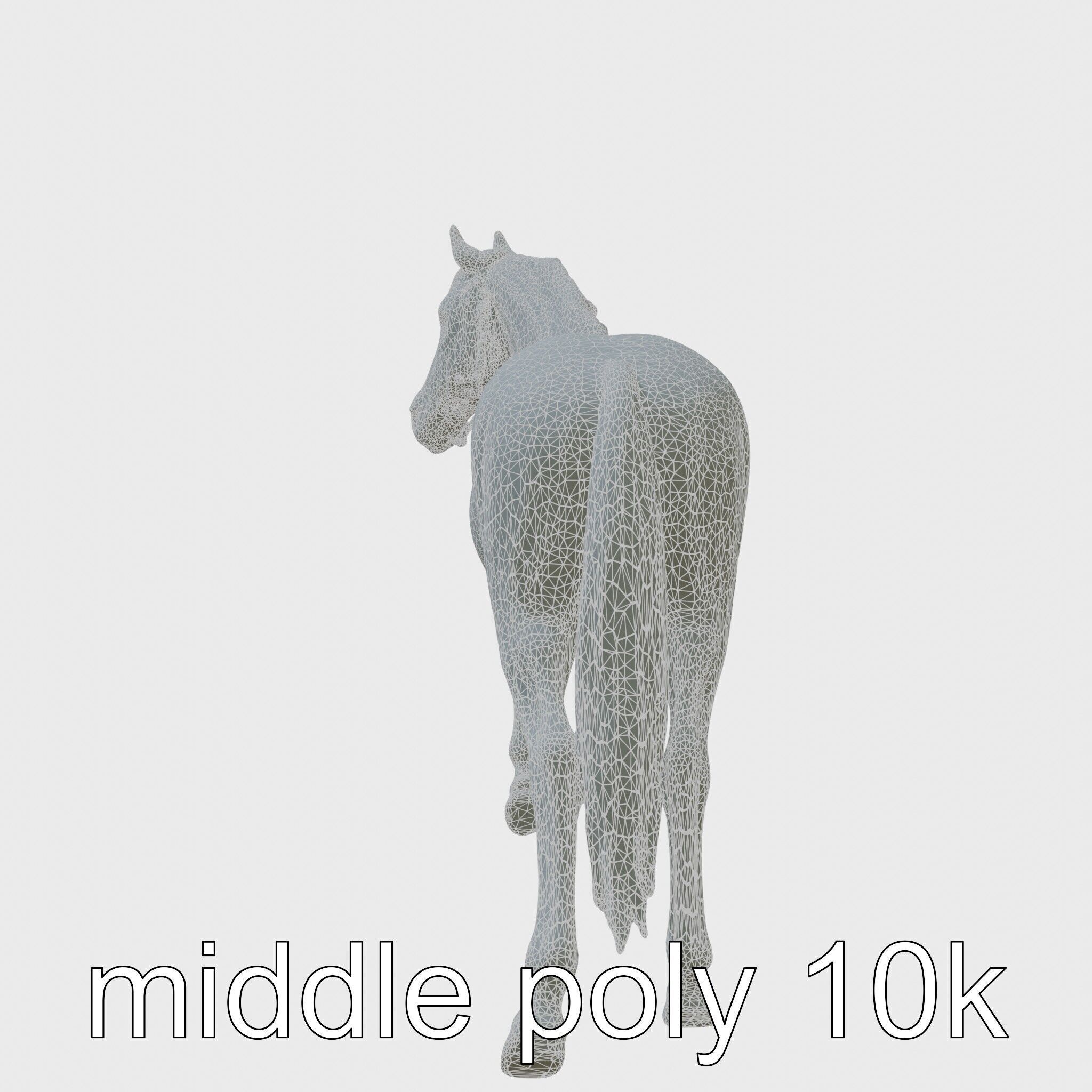 Bay Tennessee Walker Horse 3D Model Low-poly 3D model_5