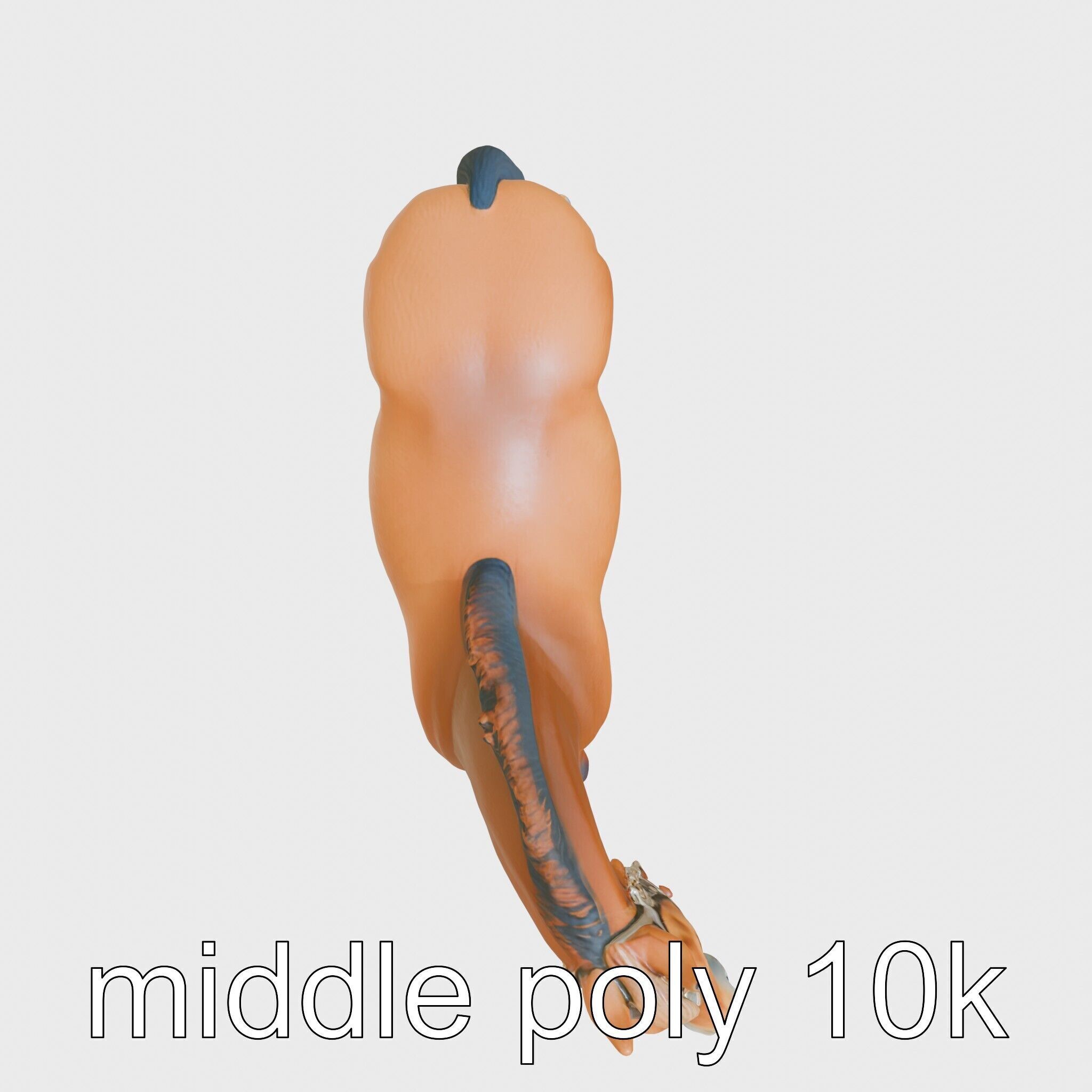 Bay Tennessee Walker Horse 3D Model Low-poly 3D model_14