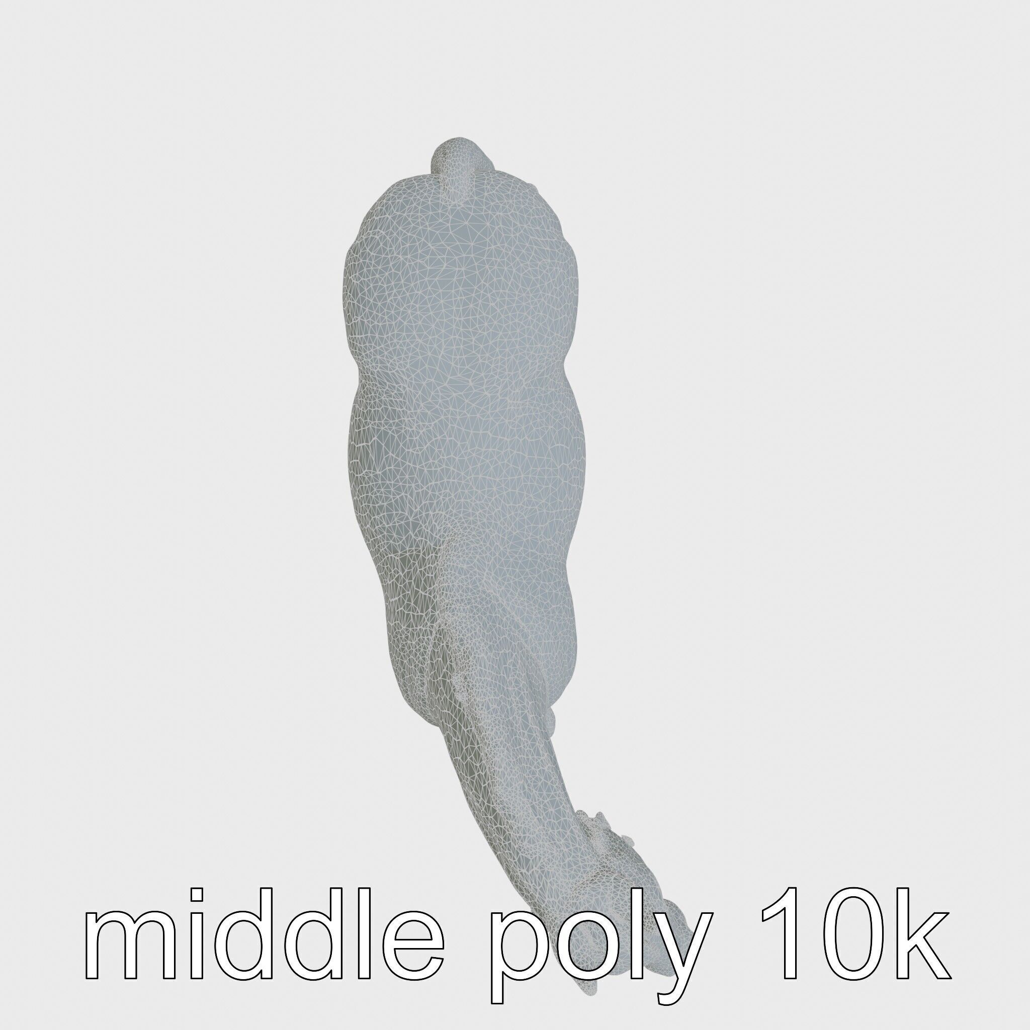 Bay Tennessee Walker Horse 3D Model Low-poly 3D model_23