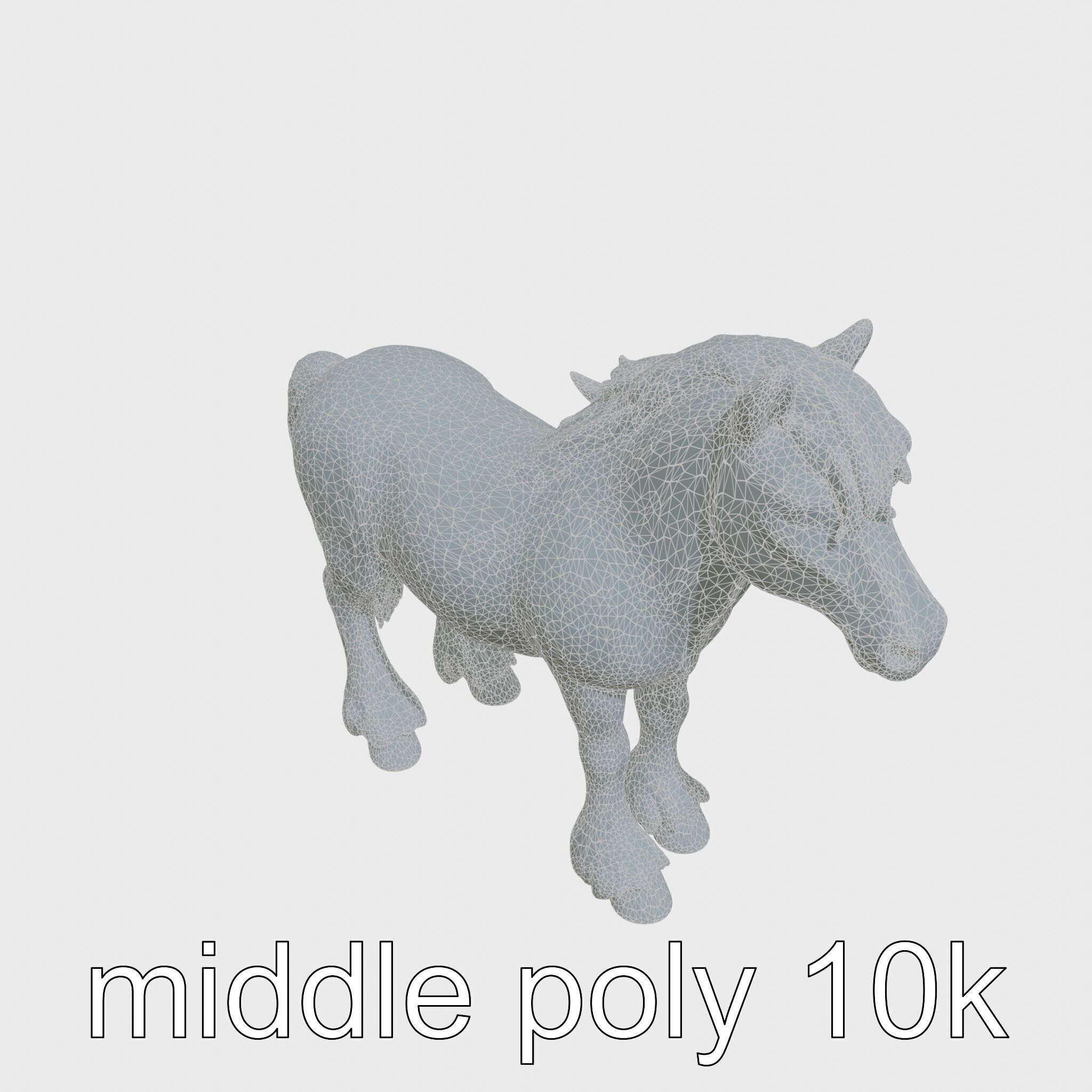 Black Welsh Pony 3D Model with Miniature Elegance Low-poly 3D model_25