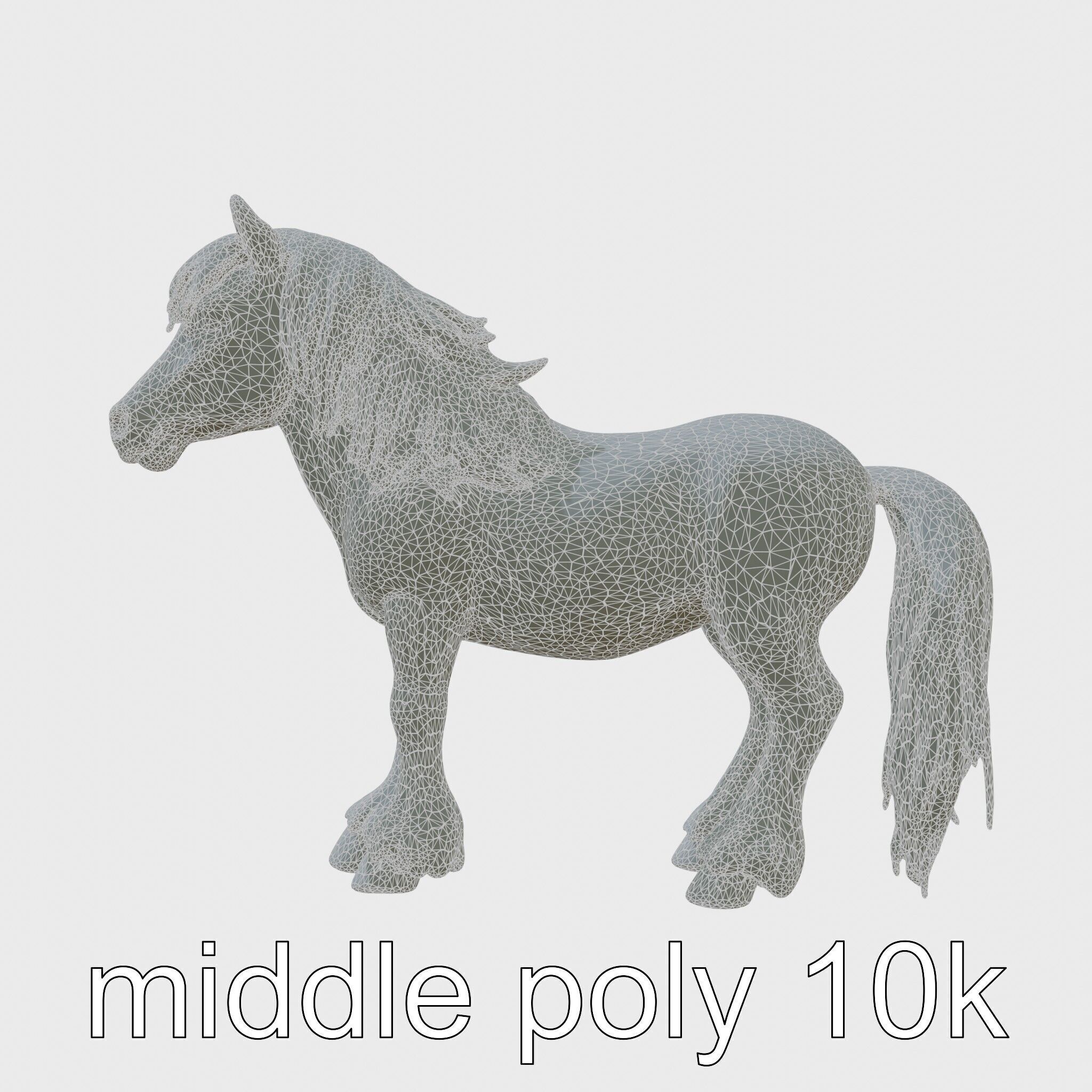 Black Welsh Pony 3D Model with Miniature Elegance Low-poly 3D model_5