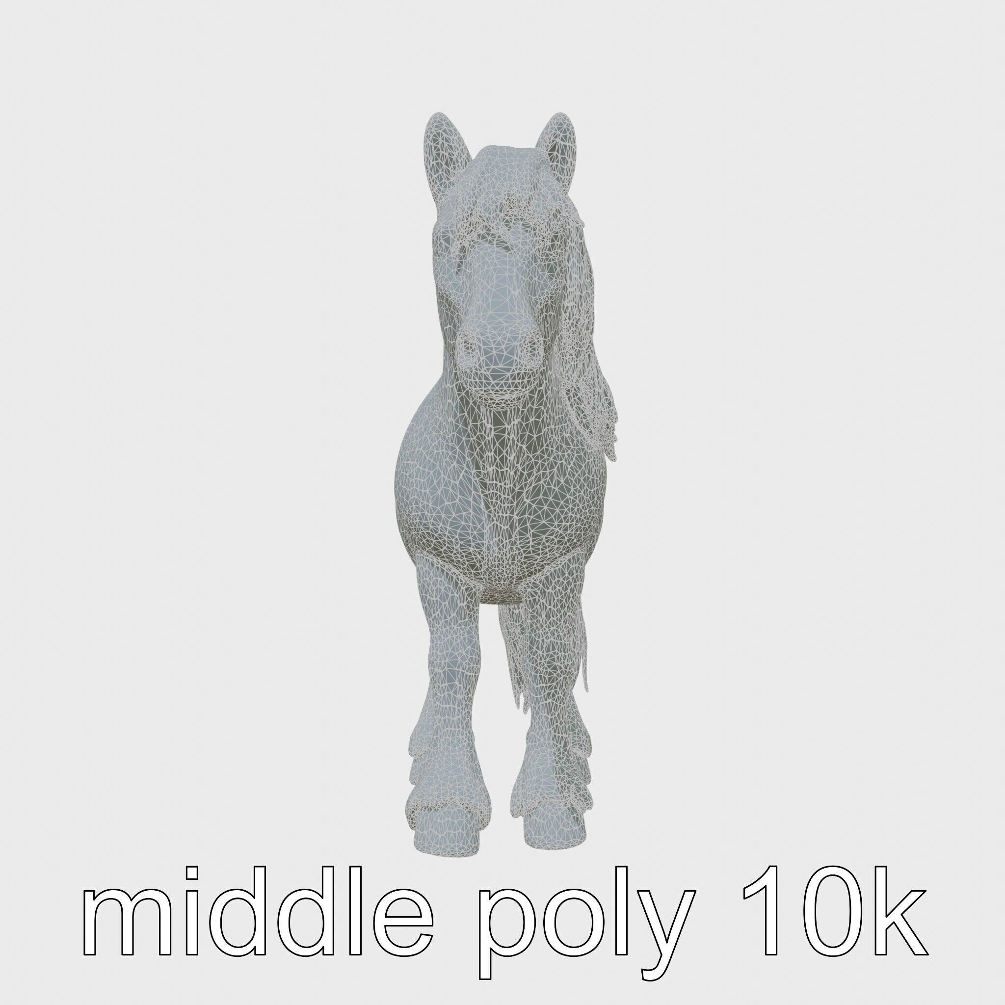Black Welsh Pony 3D Model with Miniature Elegance Low-poly 3D model_27