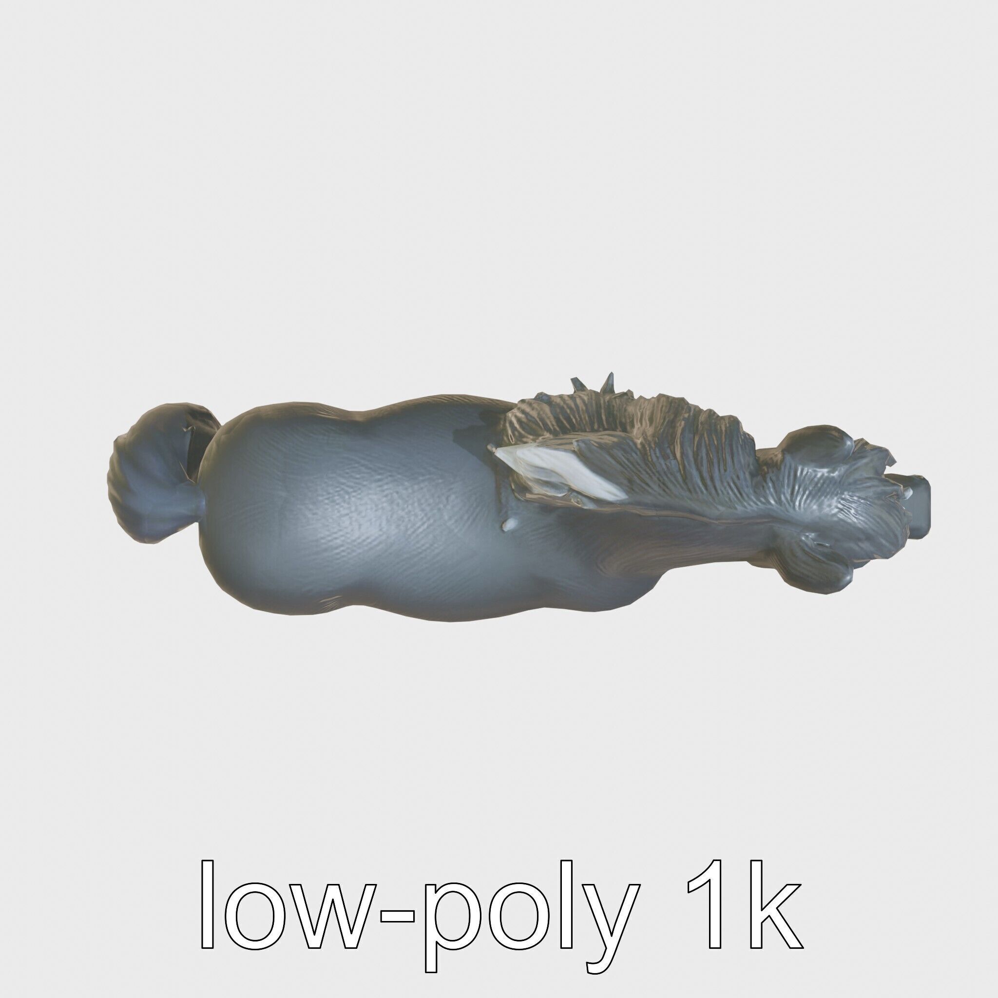 Black Welsh Pony 3D Model with Miniature Elegance Low-poly 3D model_14