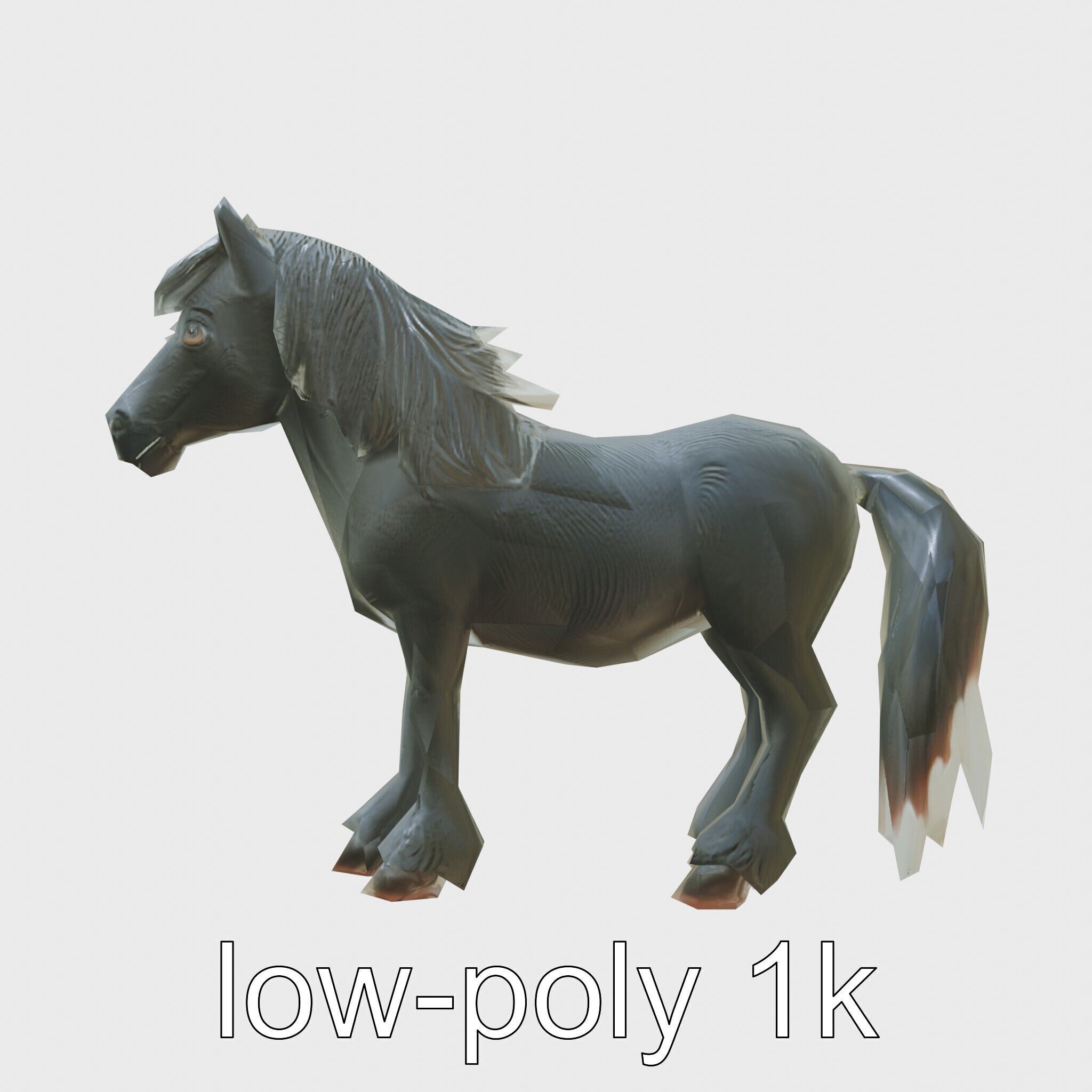 Black Welsh Pony 3D Model with Miniature Elegance Low-poly 3D model_4