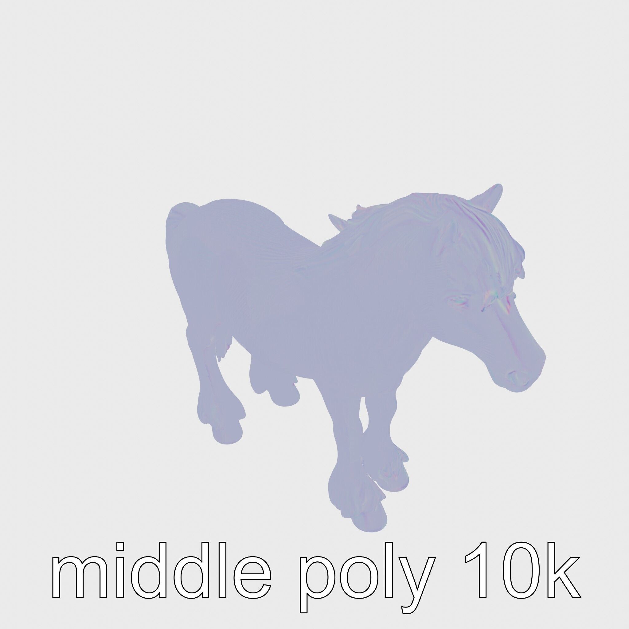Black Welsh Pony 3D Model with Miniature Elegance Low-poly 3D model_15