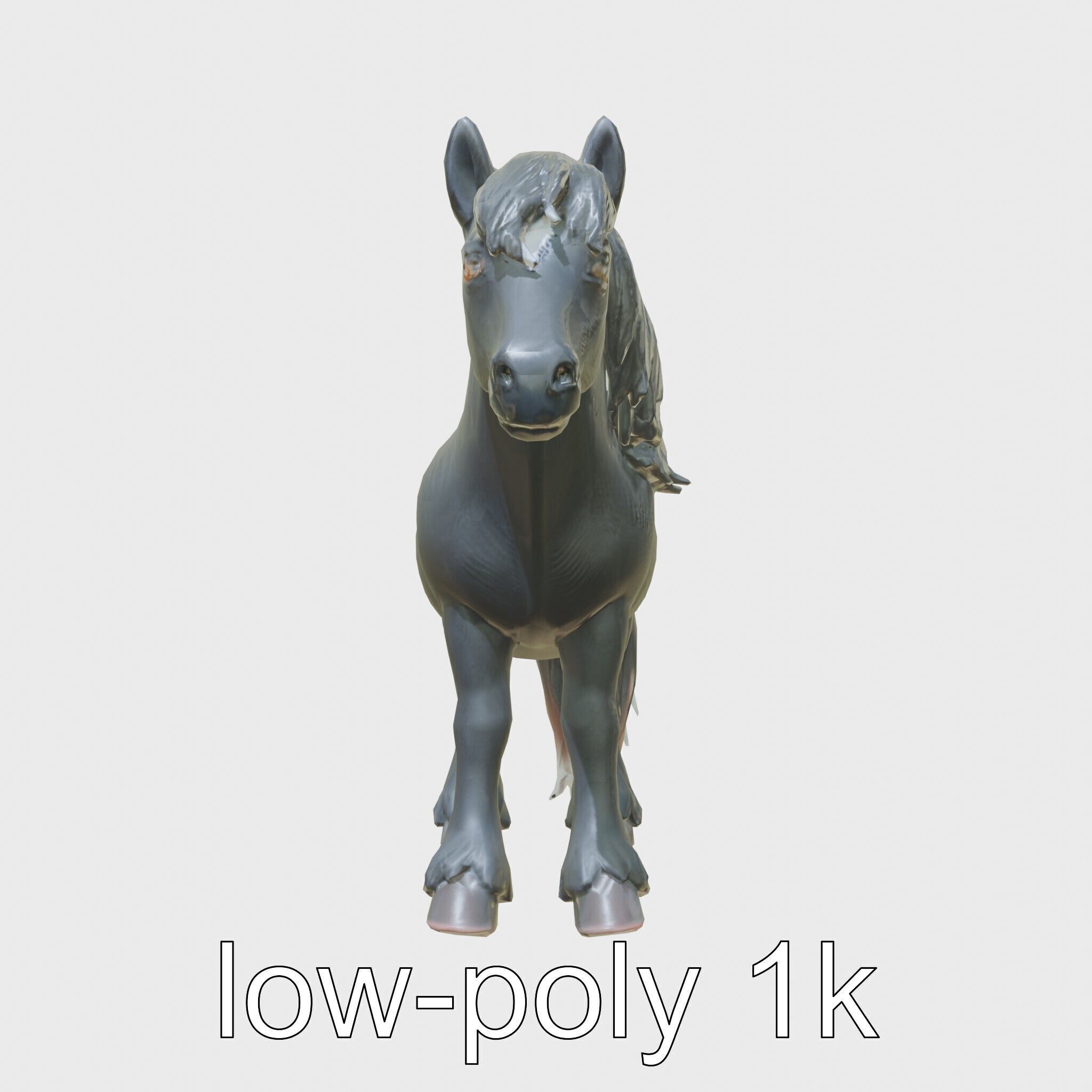 Black Welsh Pony 3D Model with Miniature Elegance Low-poly 3D model_18