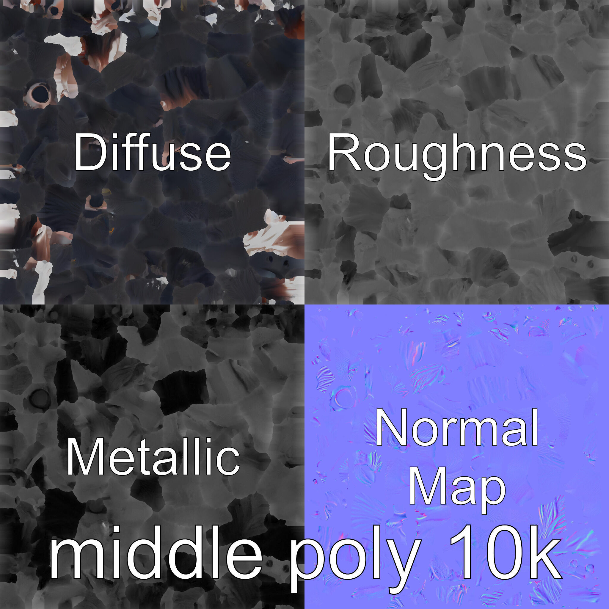 Black Welsh Pony 3D Model with Miniature Elegance Low-poly 3D model_30