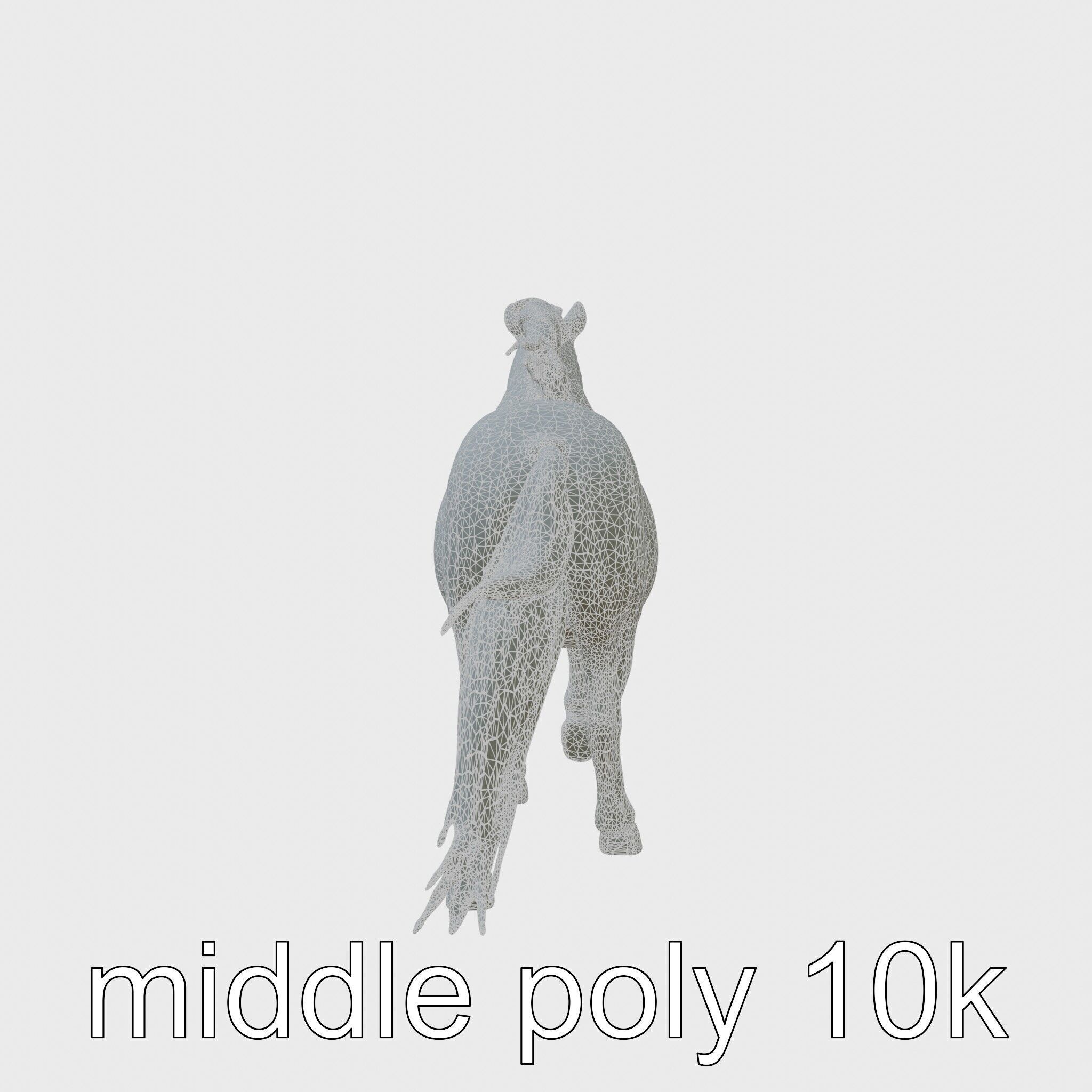 Bay Welsh Pony with Classic Coloring and Spirited Trot Texture_5