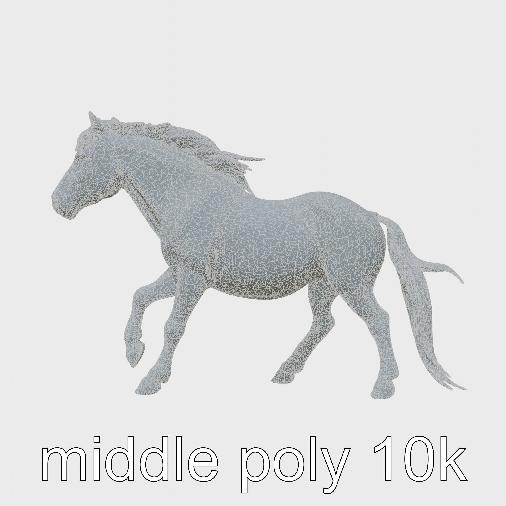 Bay Welsh Pony with Classic Coloring and Spirited Trot Texture_25