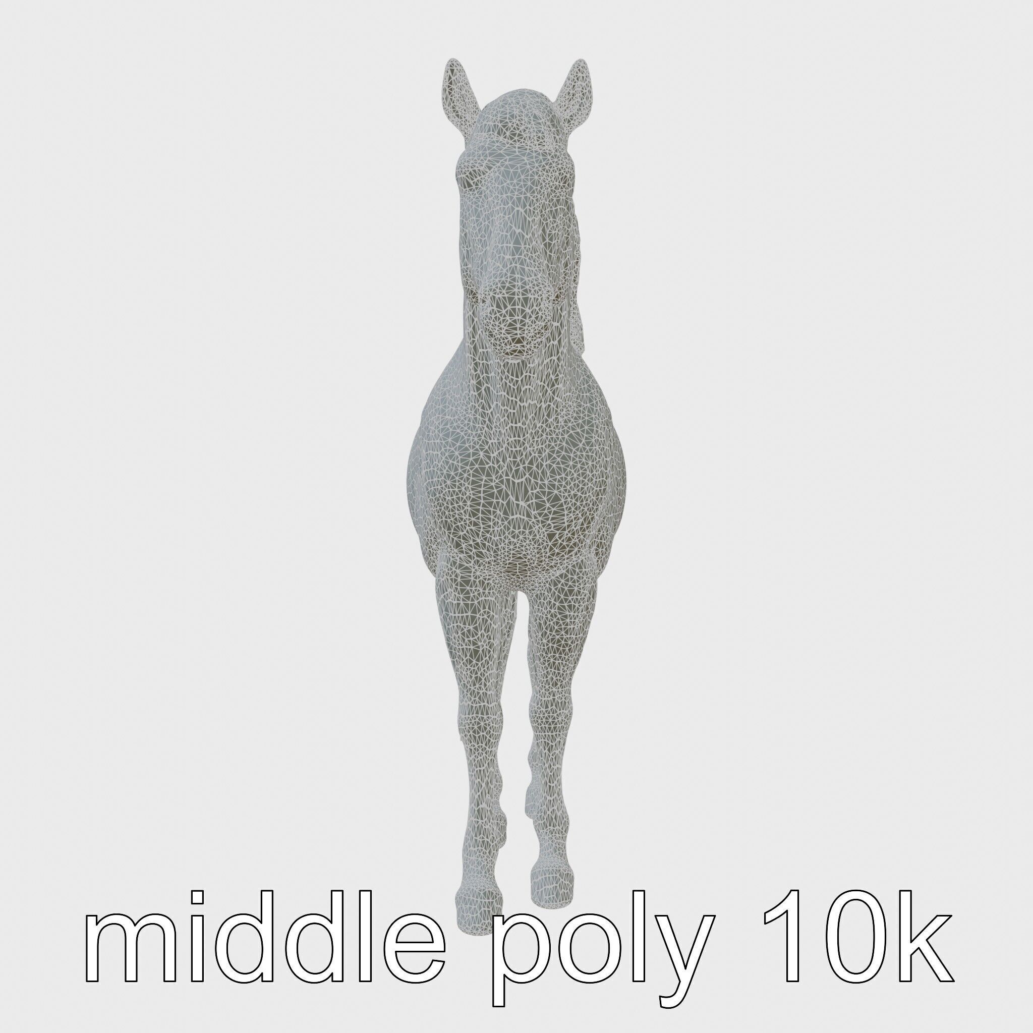 Dun Quarter Horse 3D Model with Primitive Markings Low-poly 3D model_18