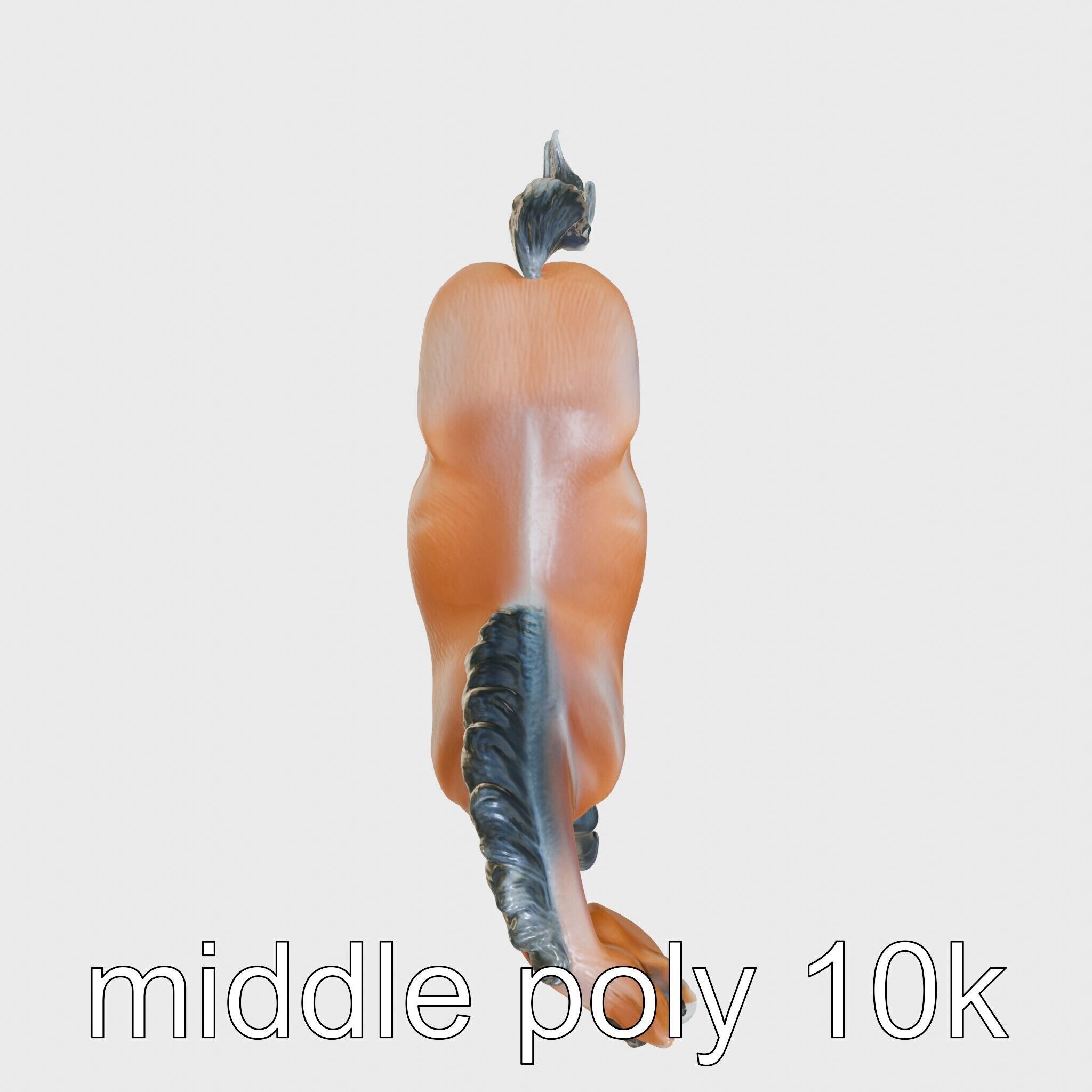 Majestic Bay Friesian Horse Model with Intricate Details Low-poly 3D model_8