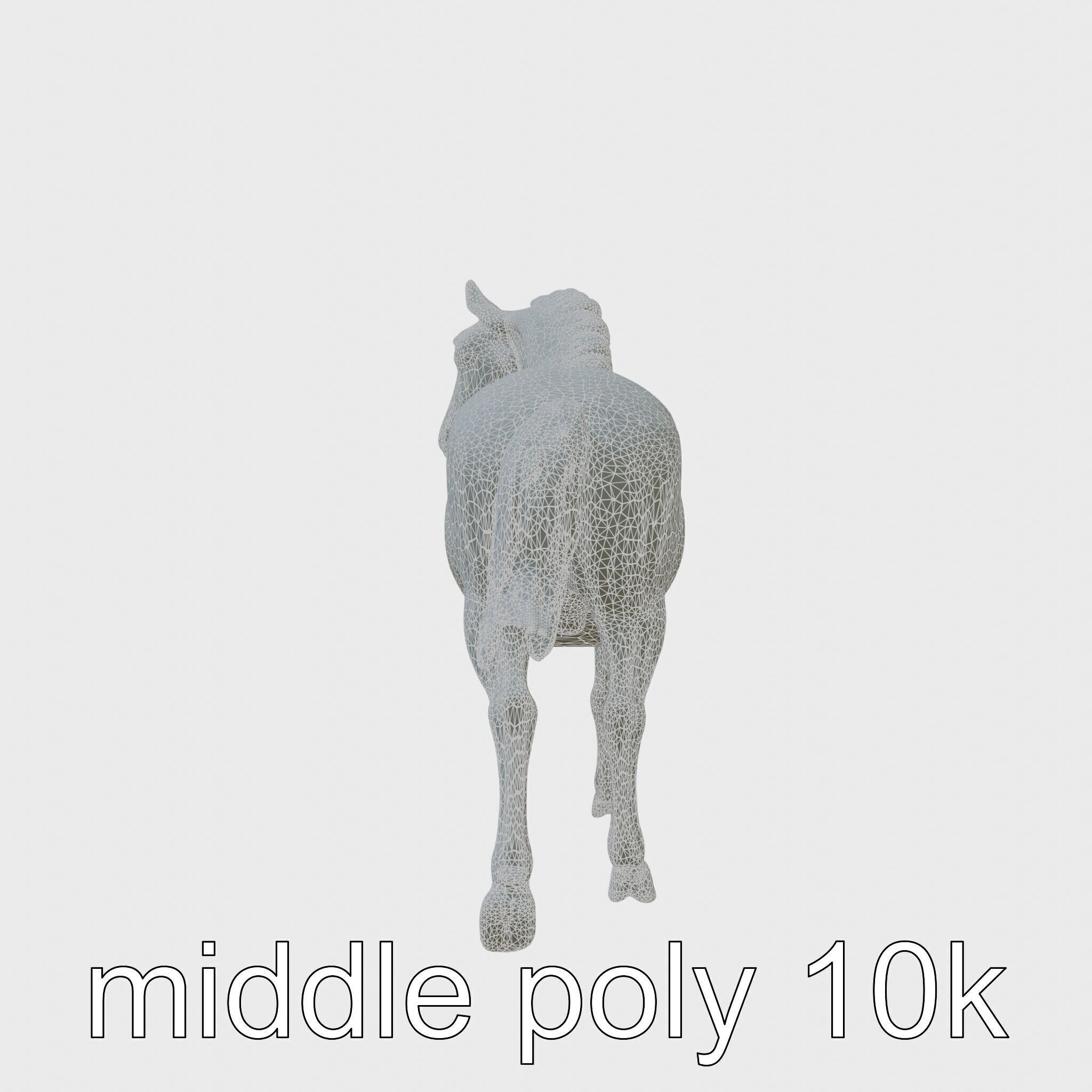 Majestic Bay Friesian Horse Model with Intricate Details Low-poly 3D model_26