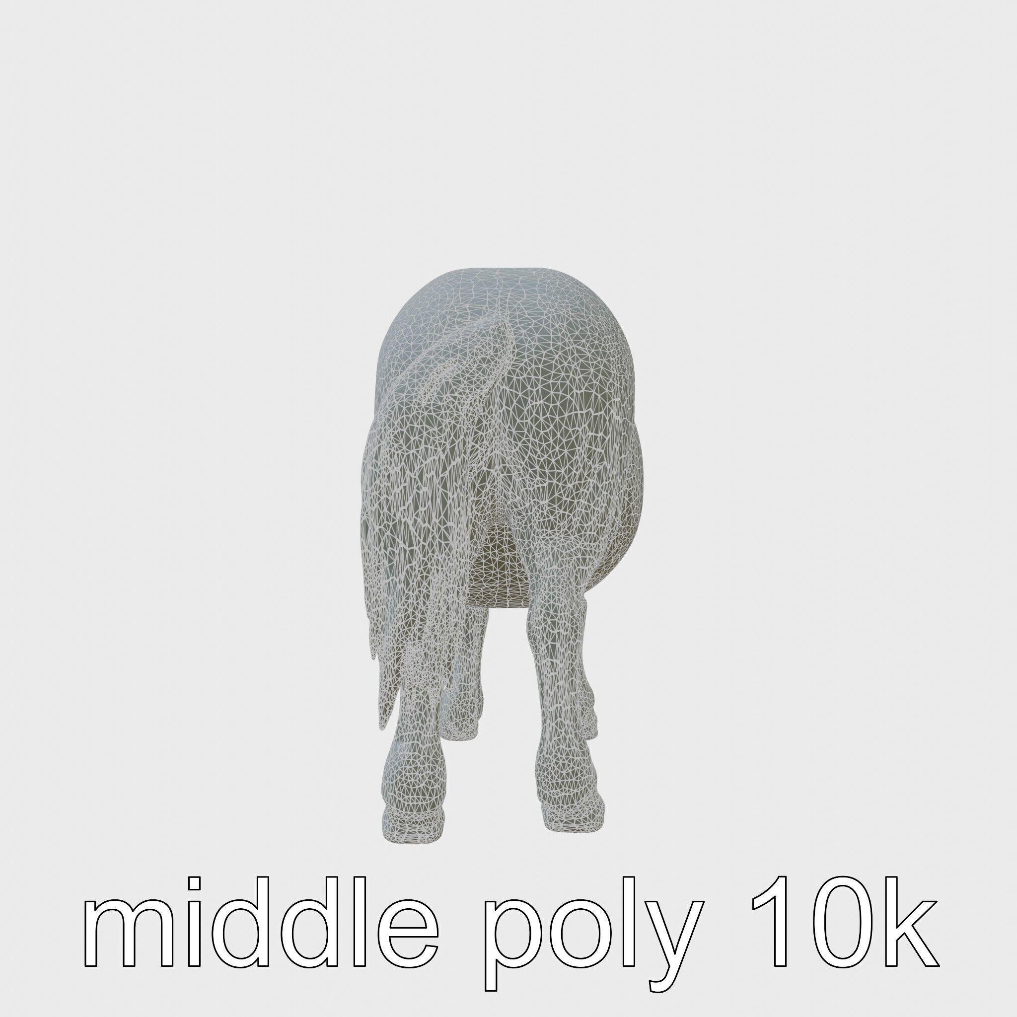 Buckskin Morgan Horse with Tan Coat and Black Points Low-poly 3D model_23