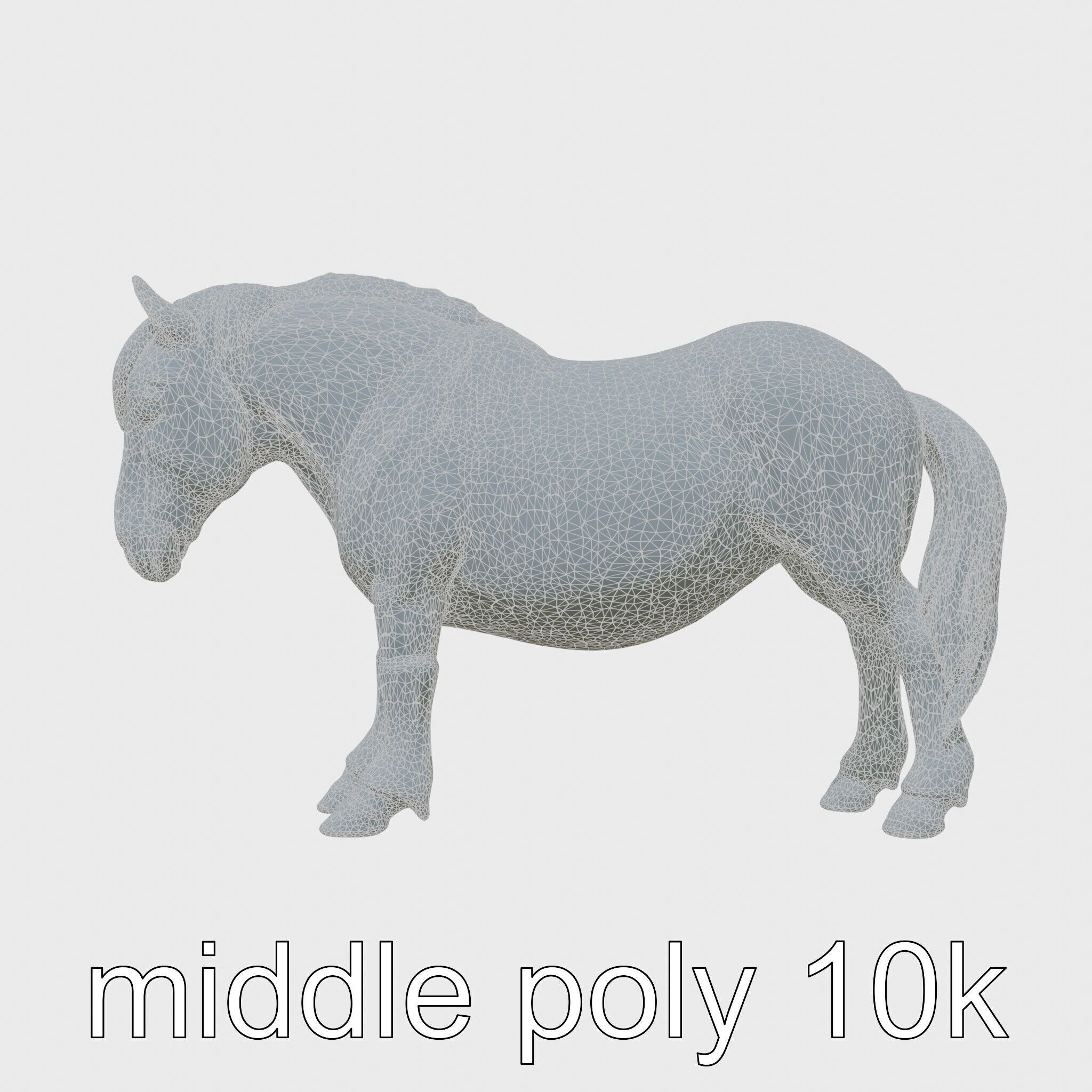 Buckskin Morgan Horse with Tan Coat and Black Points Low-poly 3D model_5