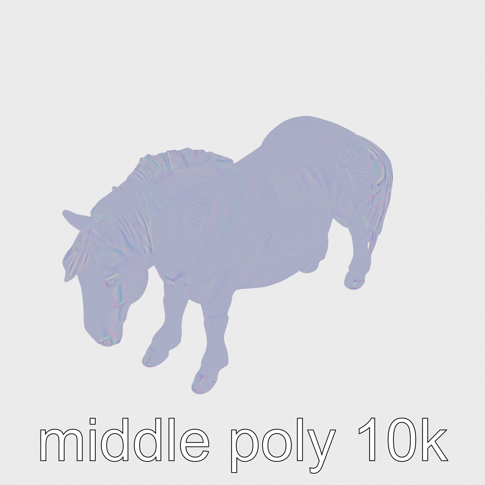 Buckskin Morgan Horse with Tan Coat and Black Points Low-poly 3D model_15