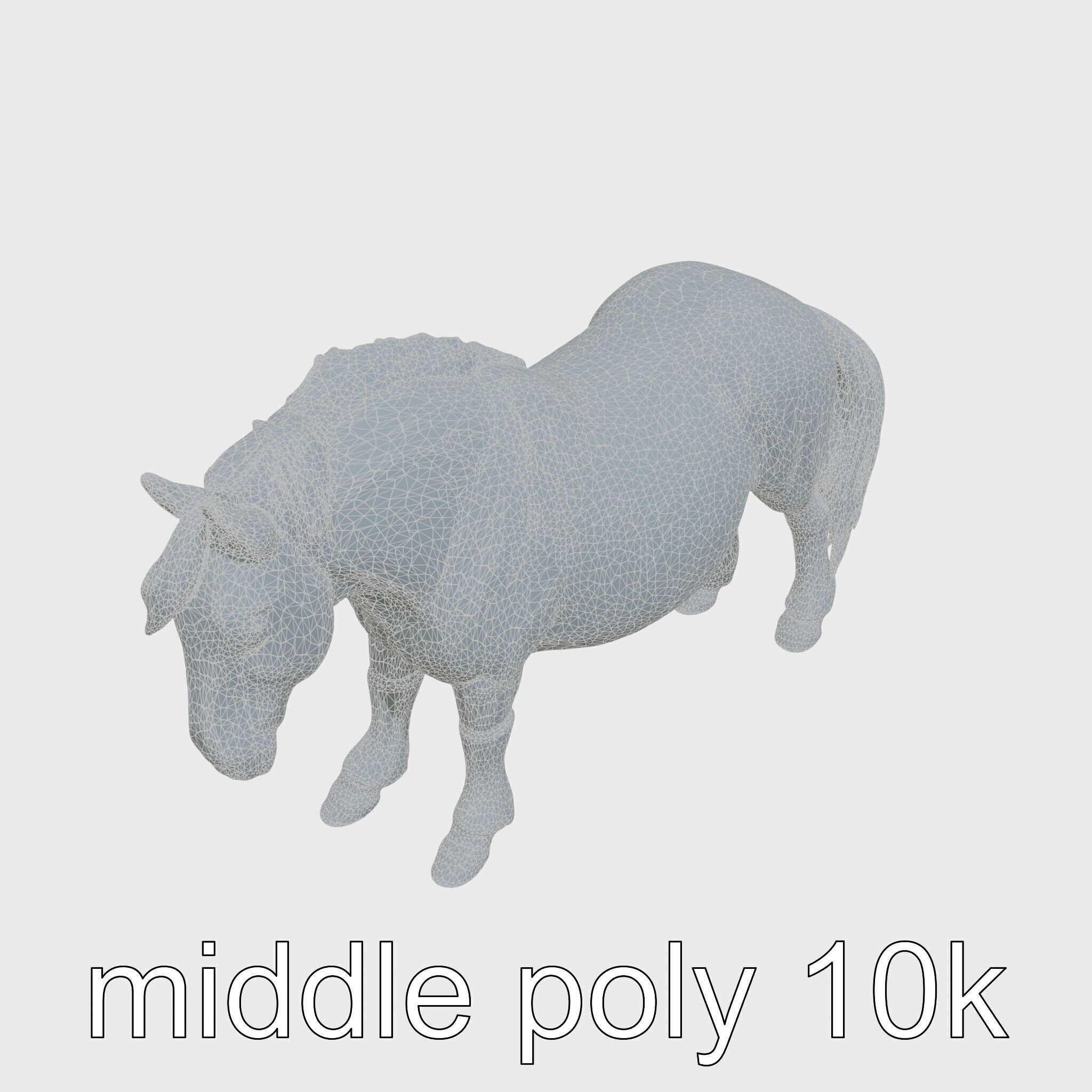 Buckskin Morgan Horse with Tan Coat and Black Points Low-poly 3D model_22