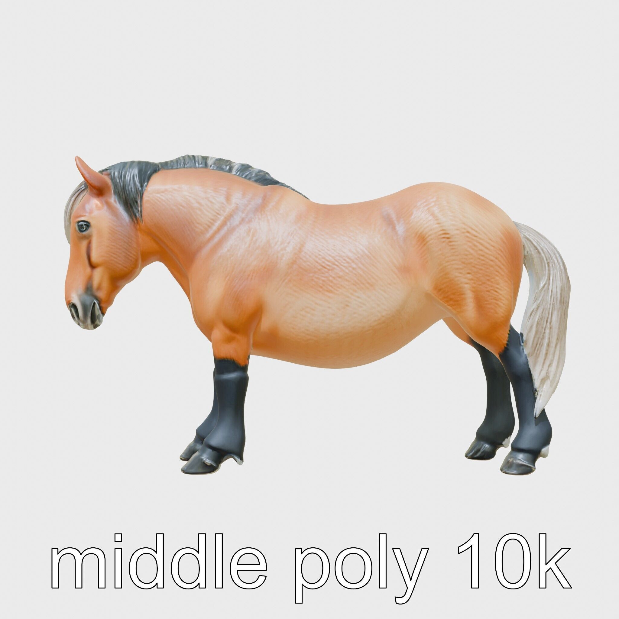 Buckskin Morgan Horse with Tan Coat and Black Points Low-poly 3D model_2