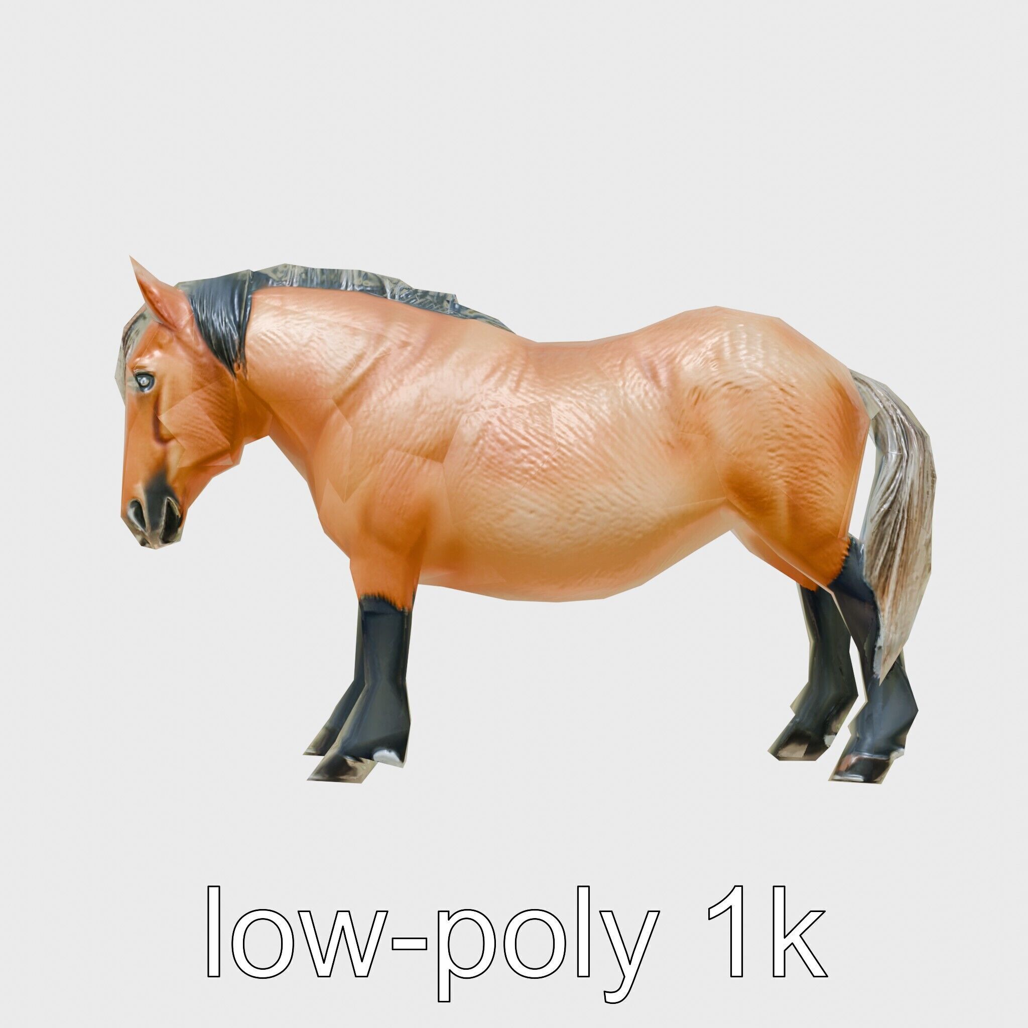 Buckskin Morgan Horse with Tan Coat and Black Points Low-poly 3D model_4