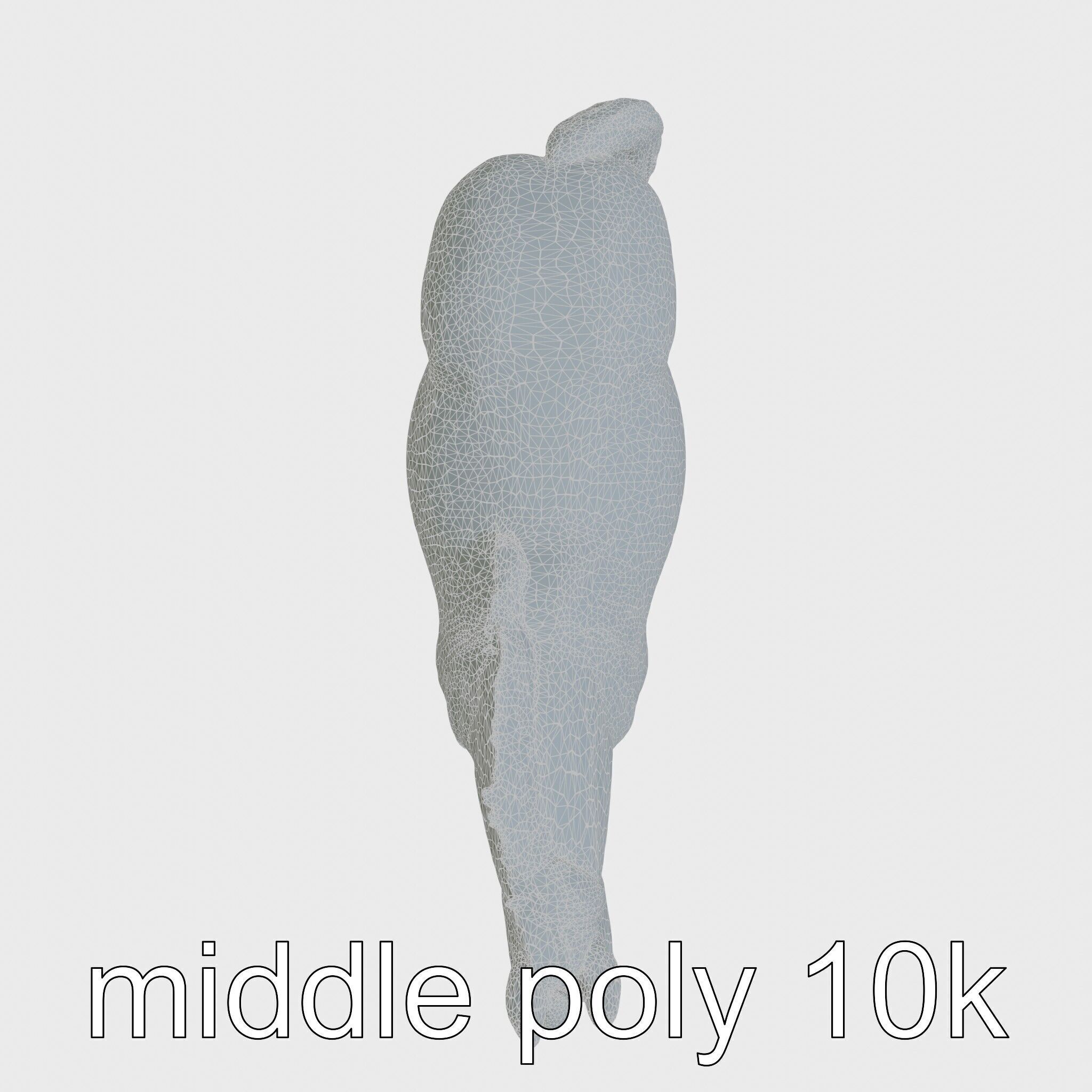 Buckskin Morgan Horse with Tan Coat and Black Points Low-poly 3D model_11