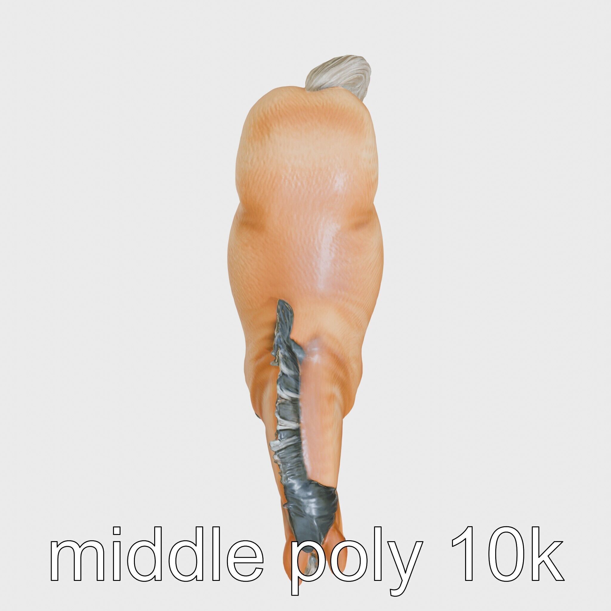 Buckskin Morgan Horse with Tan Coat and Black Points Low-poly 3D model_8