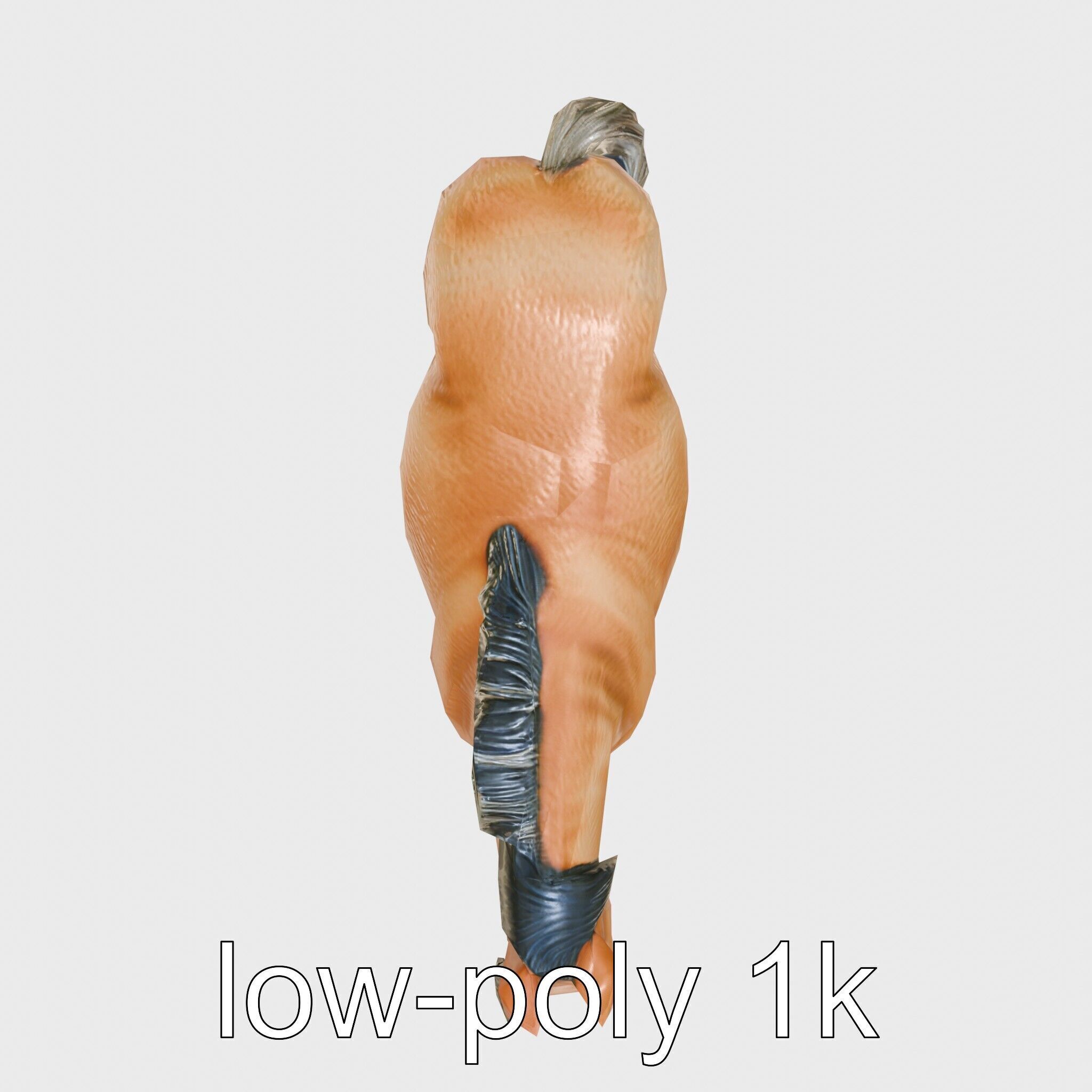 Buckskin Morgan Horse with Tan Coat and Black Points Low-poly 3D model_10