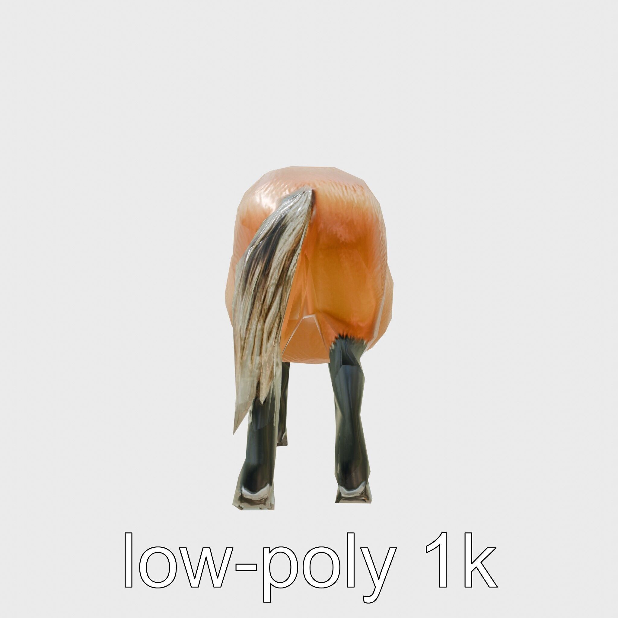 Buckskin Morgan Horse with Tan Coat and Black Points Low-poly 3D model_21