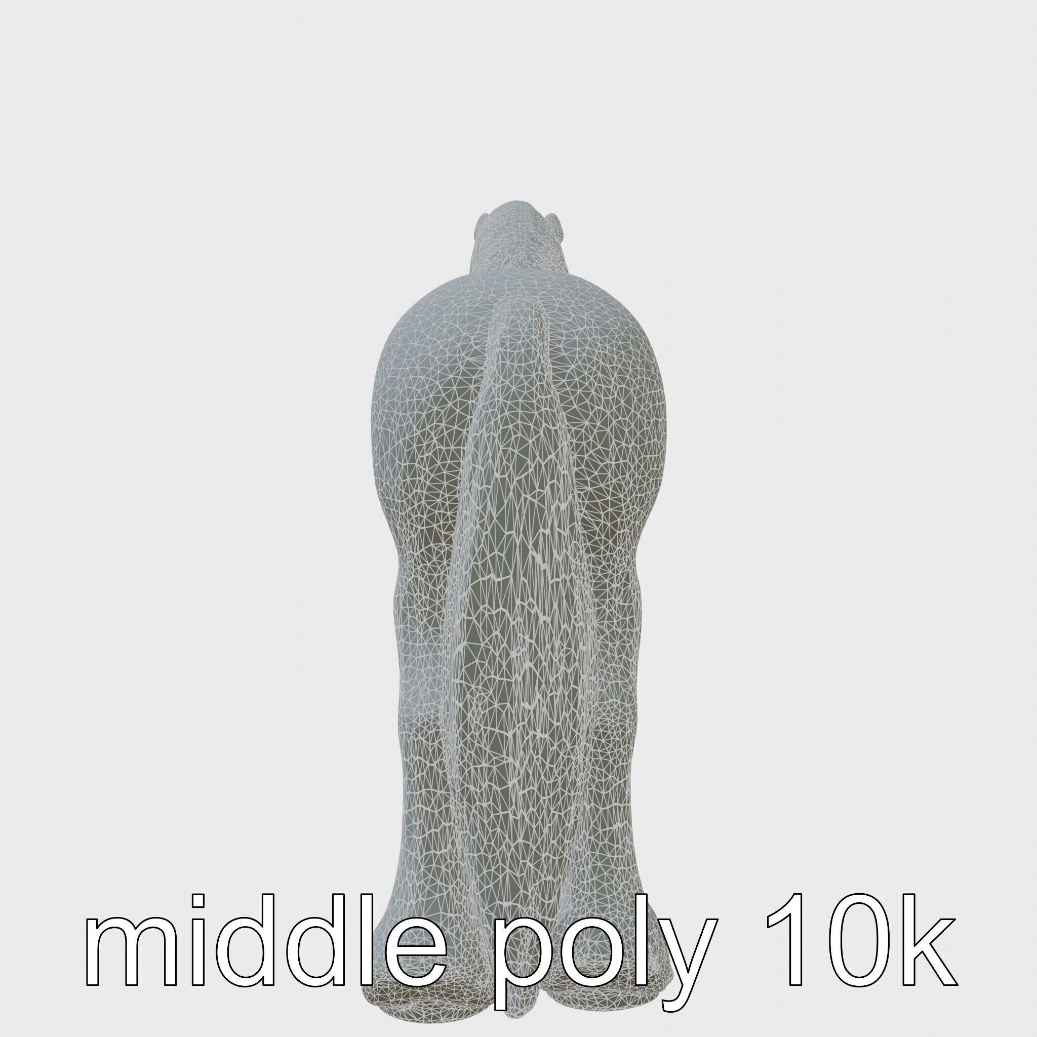 Clydesdale Horse with Feathered Fetlocks 3D Model Low-poly 3D model_24