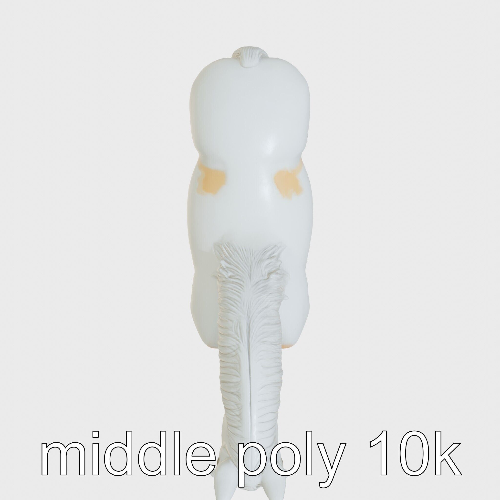 Clydesdale Horse with Feathered Fetlocks 3D Model Low-poly 3D model_8