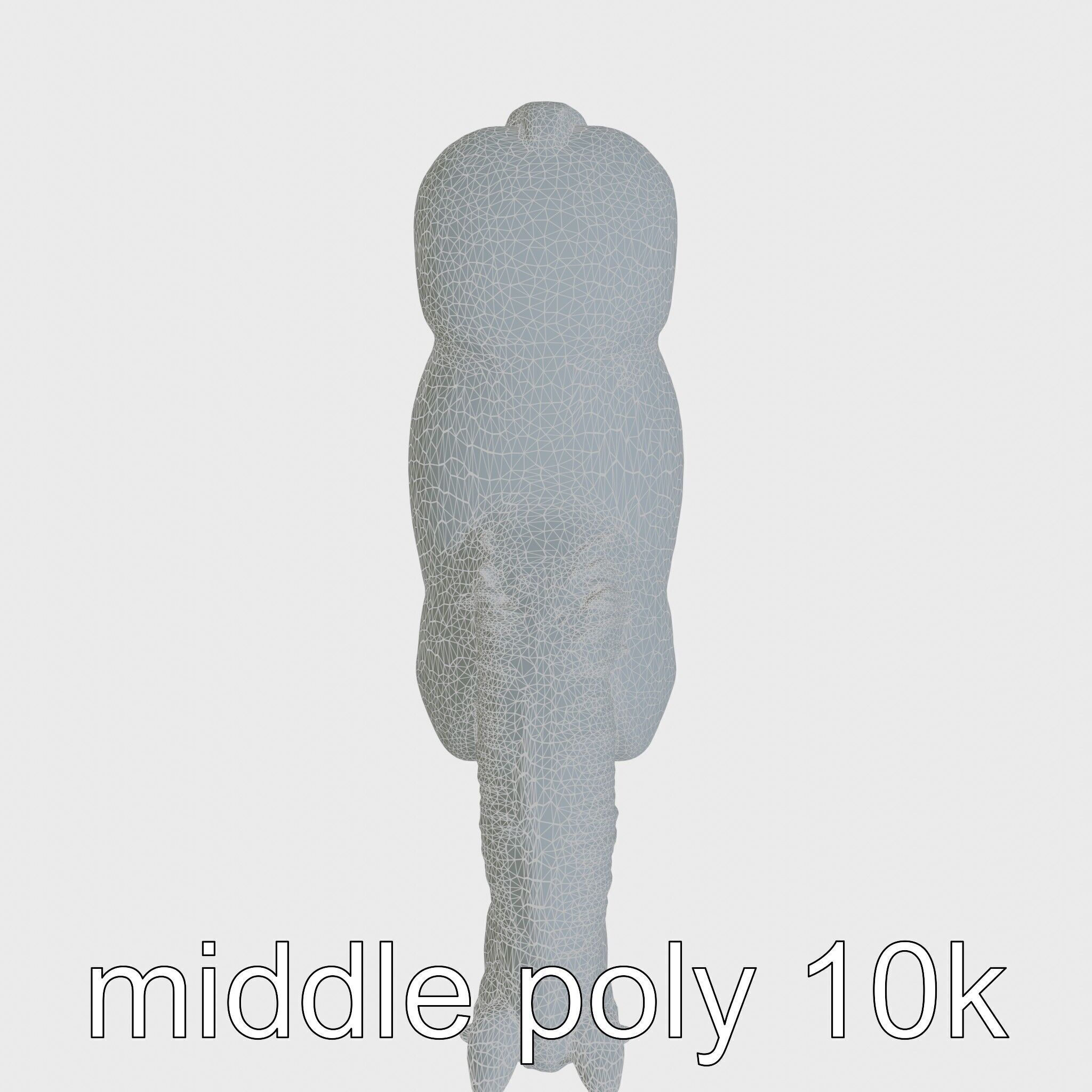 Clydesdale Horse with Feathered Fetlocks 3D Model Low-poly 3D model_29