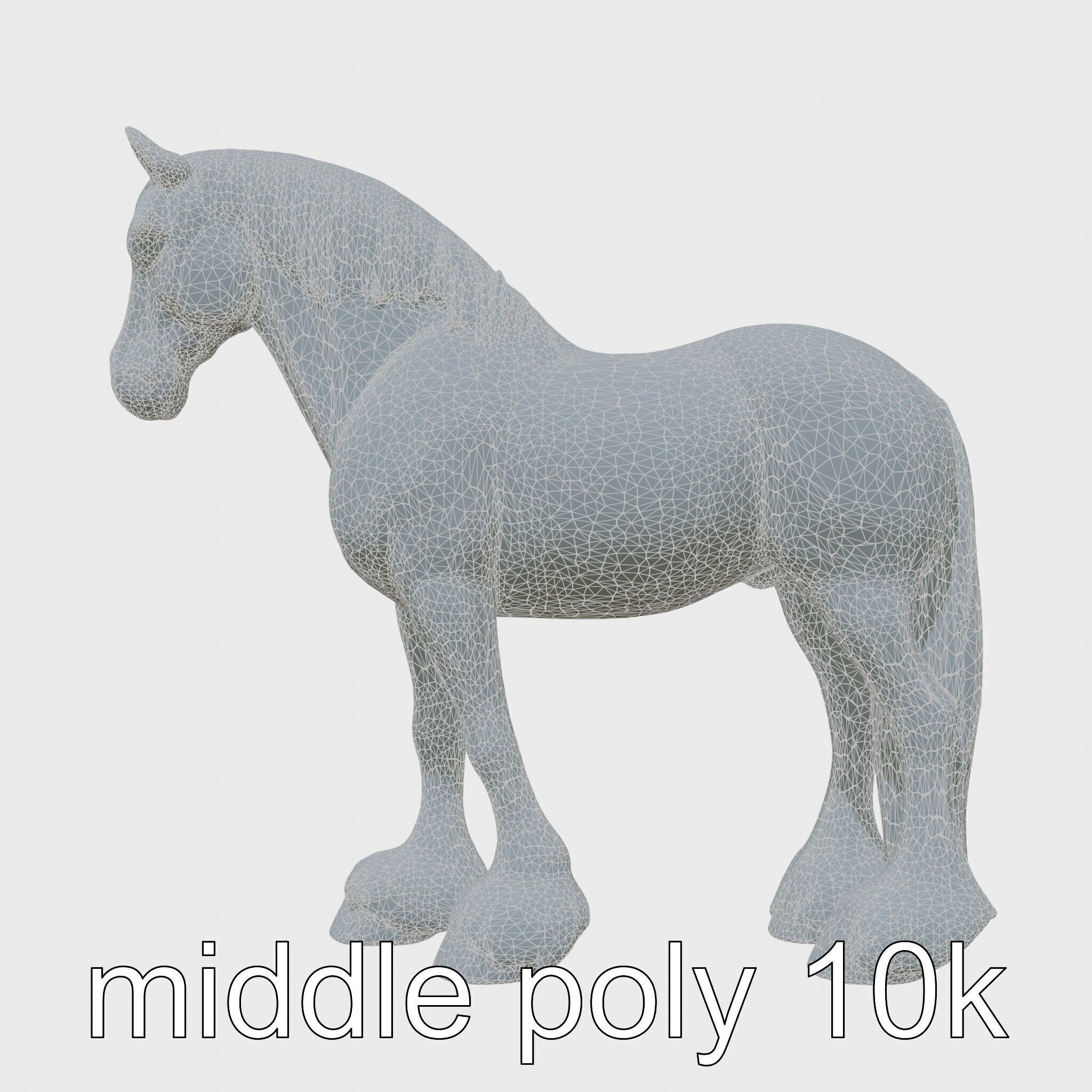 Clydesdale Horse with Feathered Fetlocks 3D Model Low-poly 3D model_5