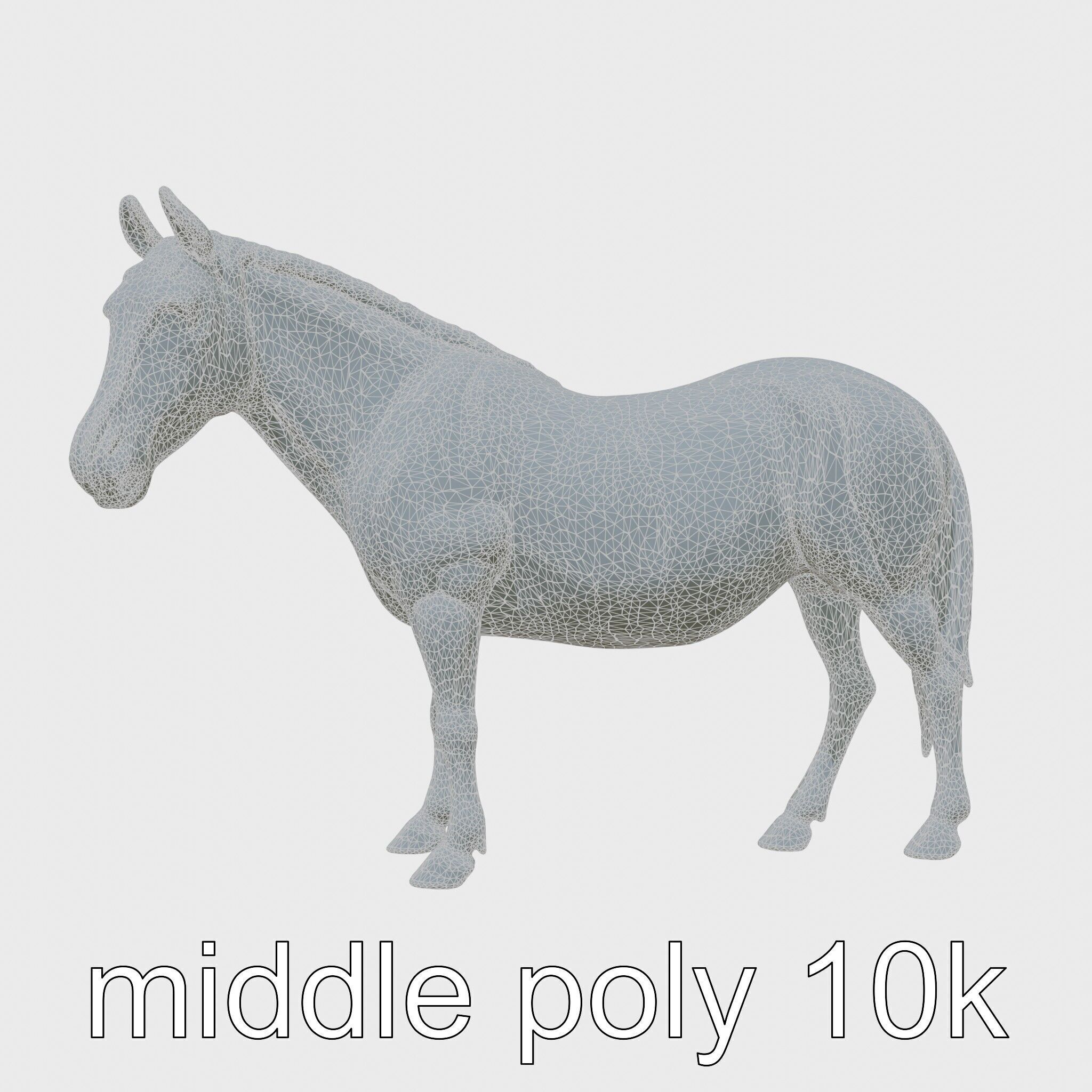 Bay Warmblood Horse Model with White Markings Low-poly 3D model_27