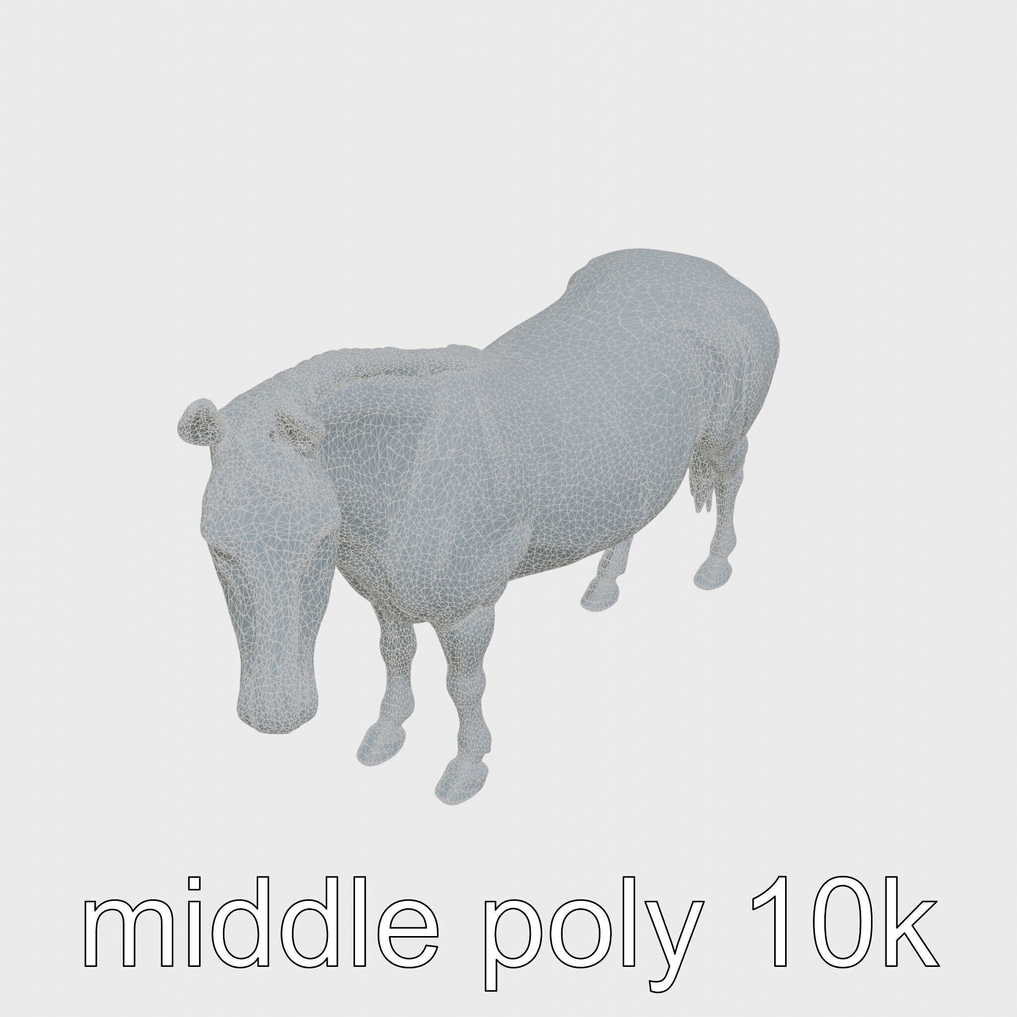Bay Warmblood Horse Model with White Markings Low-poly 3D model_26