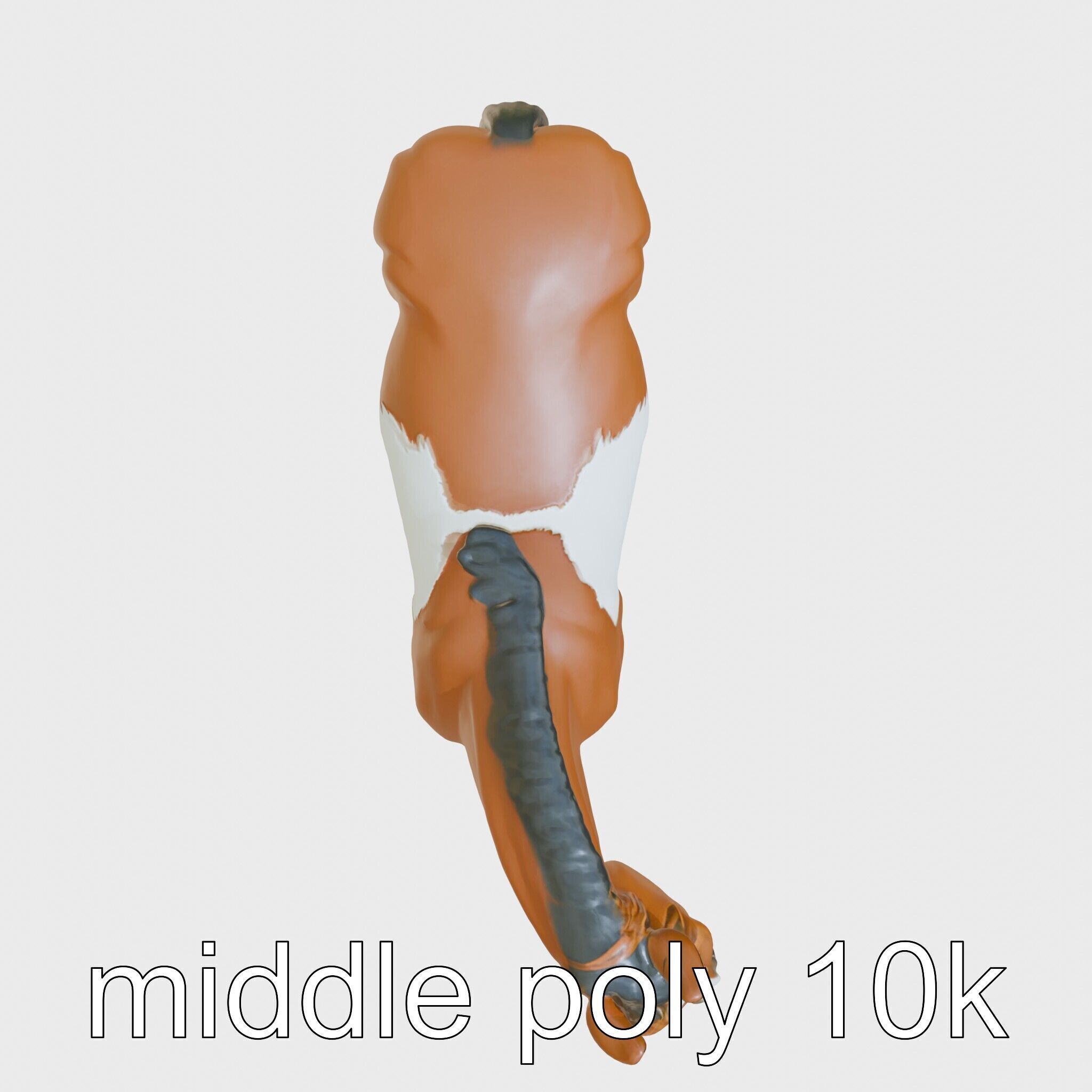 Bay Warmblood Horse Model with White Markings Low-poly 3D model_22
