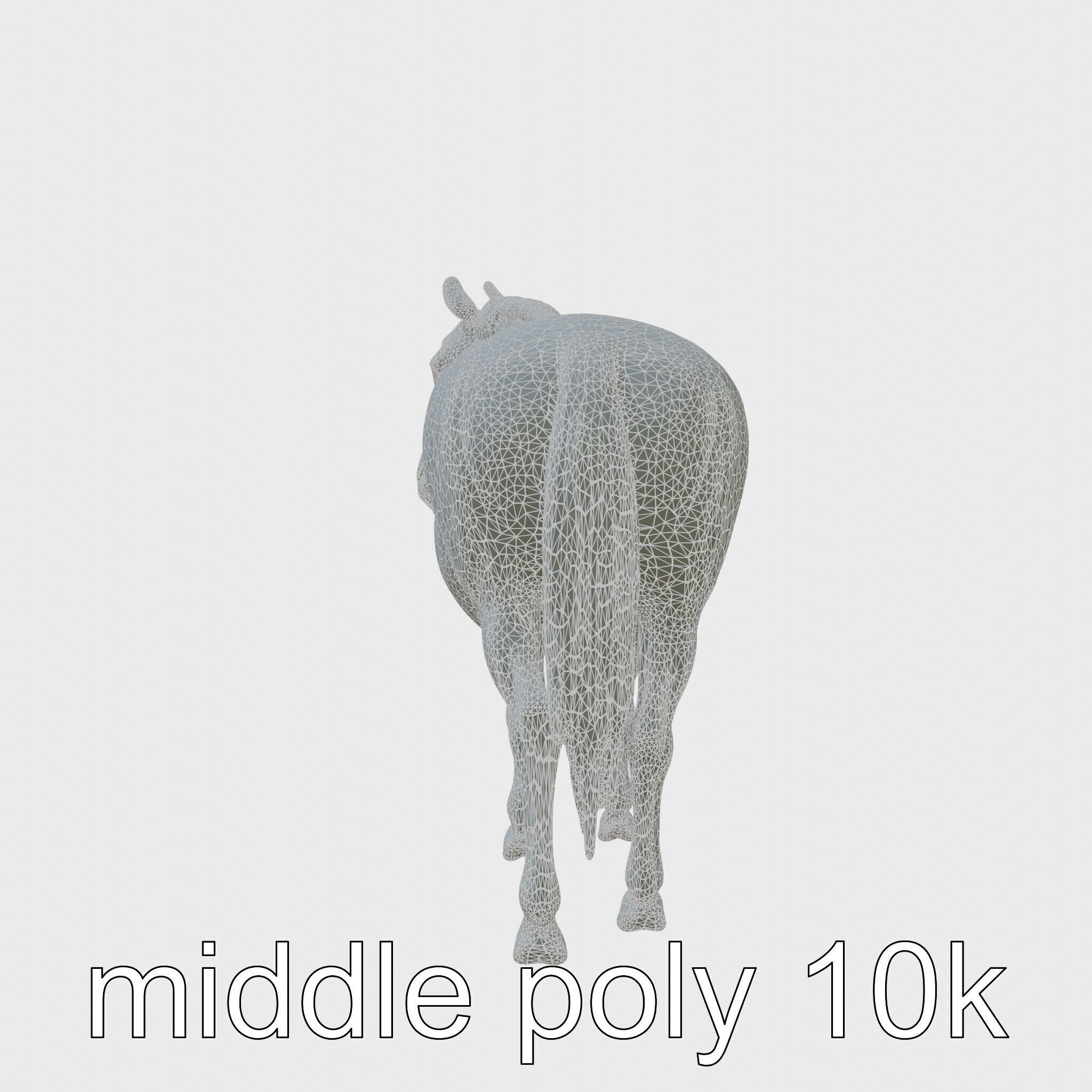 Bay Warmblood Horse Model with White Markings Low-poly 3D model_5