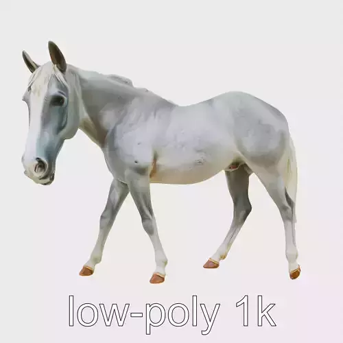 Gray Warmblood Horse with White Transition Low-poly 3D model
