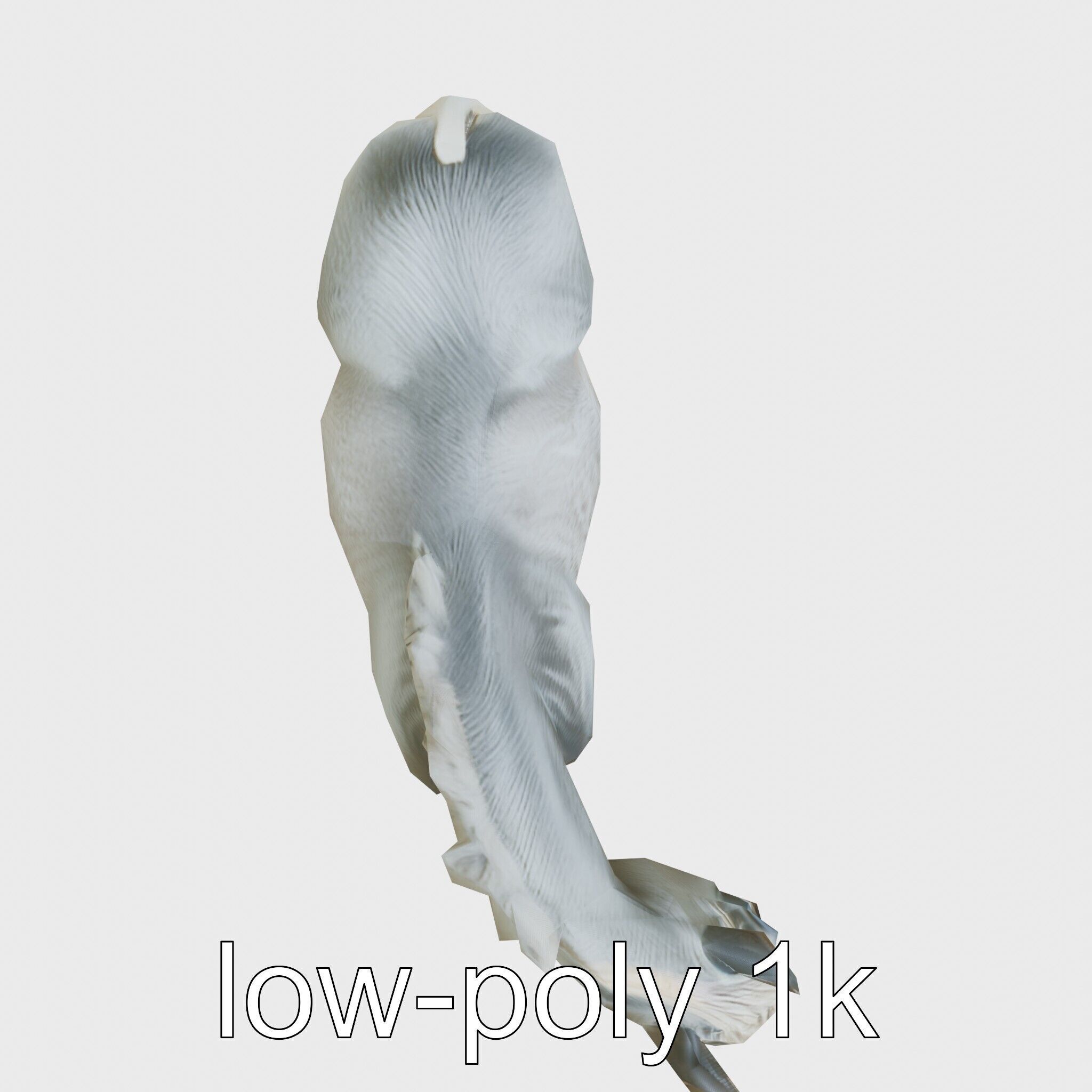 Gray Warmblood Horse with White Transition Low-poly 3D model_10
