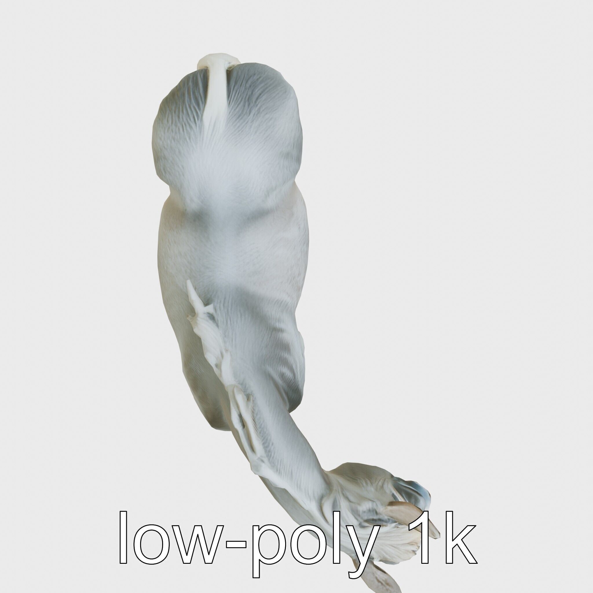 Gray Warmblood Horse with White Transition Low-poly 3D model_9