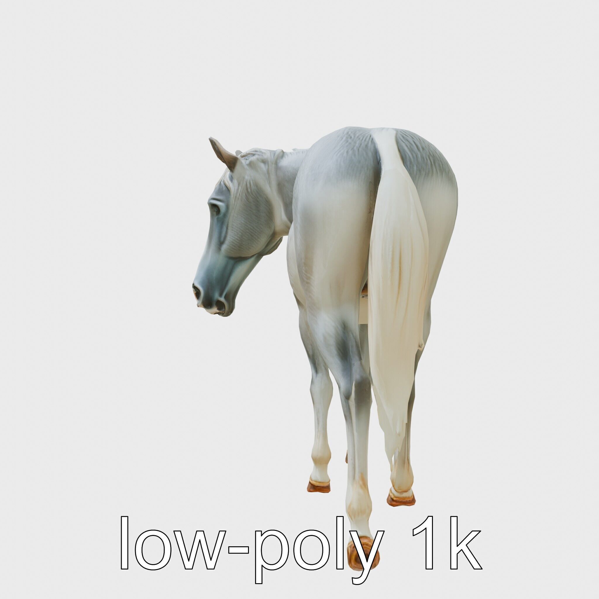 Gray Warmblood Horse with White Transition Low-poly 3D model_25