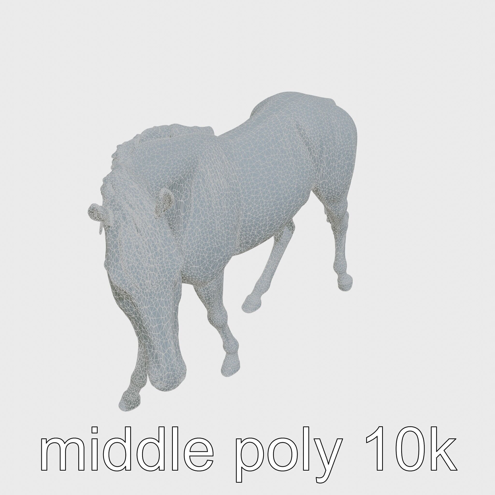 Gray Warmblood Horse with White Transition Low-poly 3D model_20