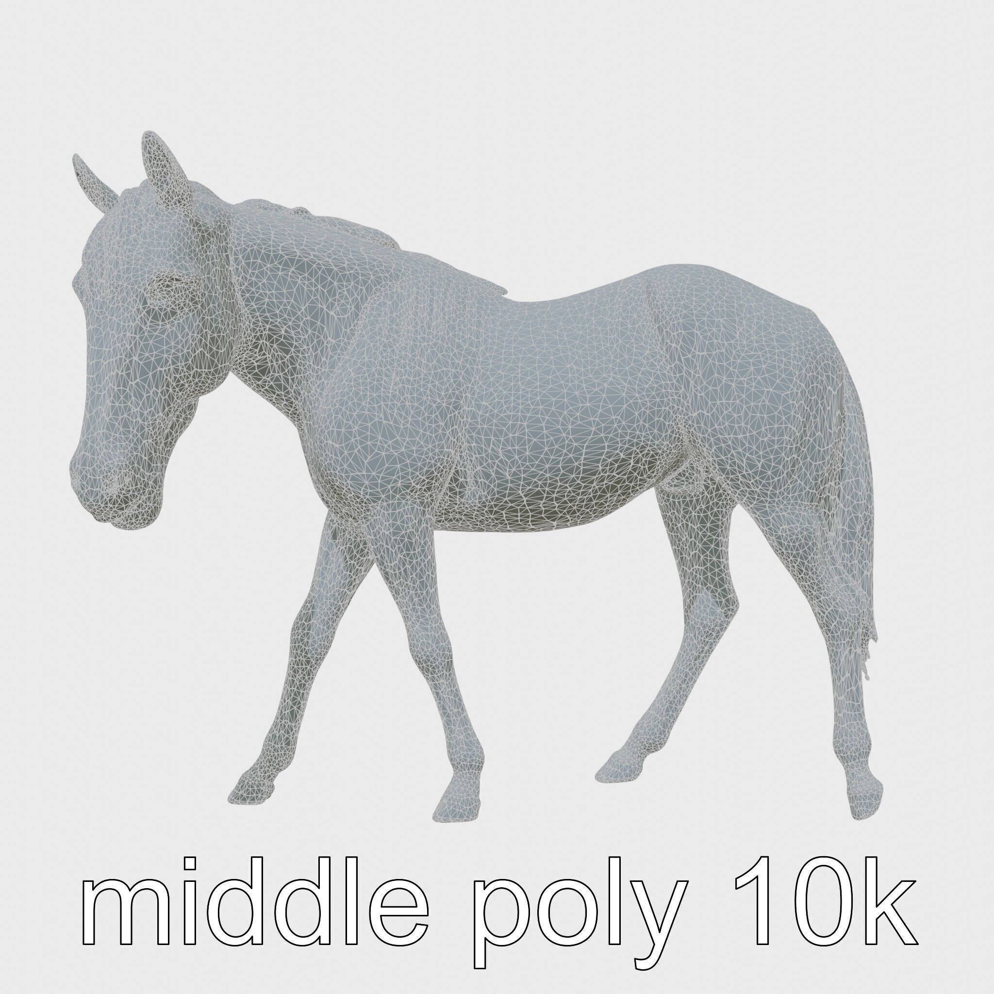 Gray Warmblood Horse with White Transition Low-poly 3D model_5