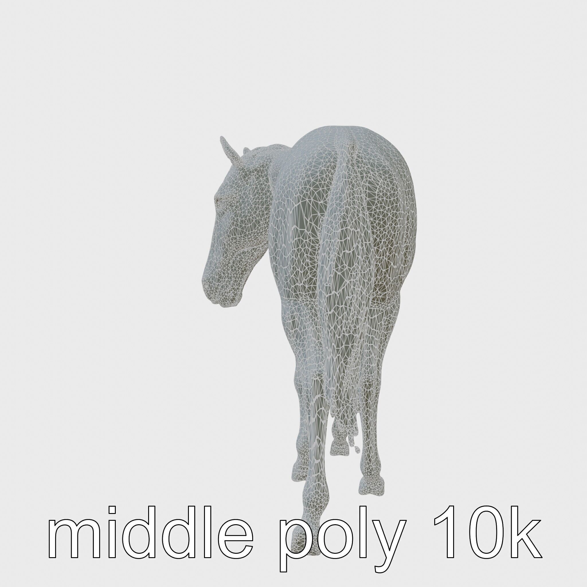 Gray Warmblood Horse with White Transition Low-poly 3D model_27