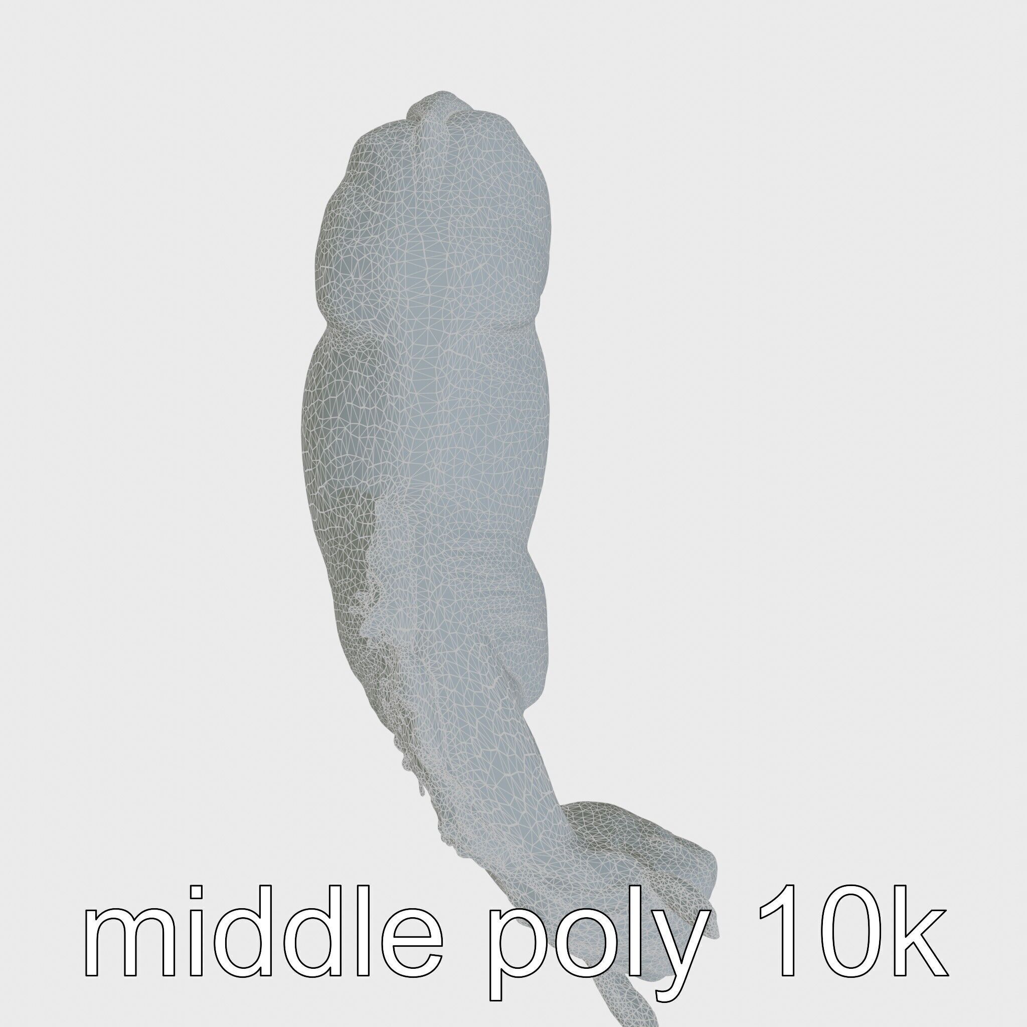 Gray Warmblood Horse with White Transition Low-poly 3D model_14