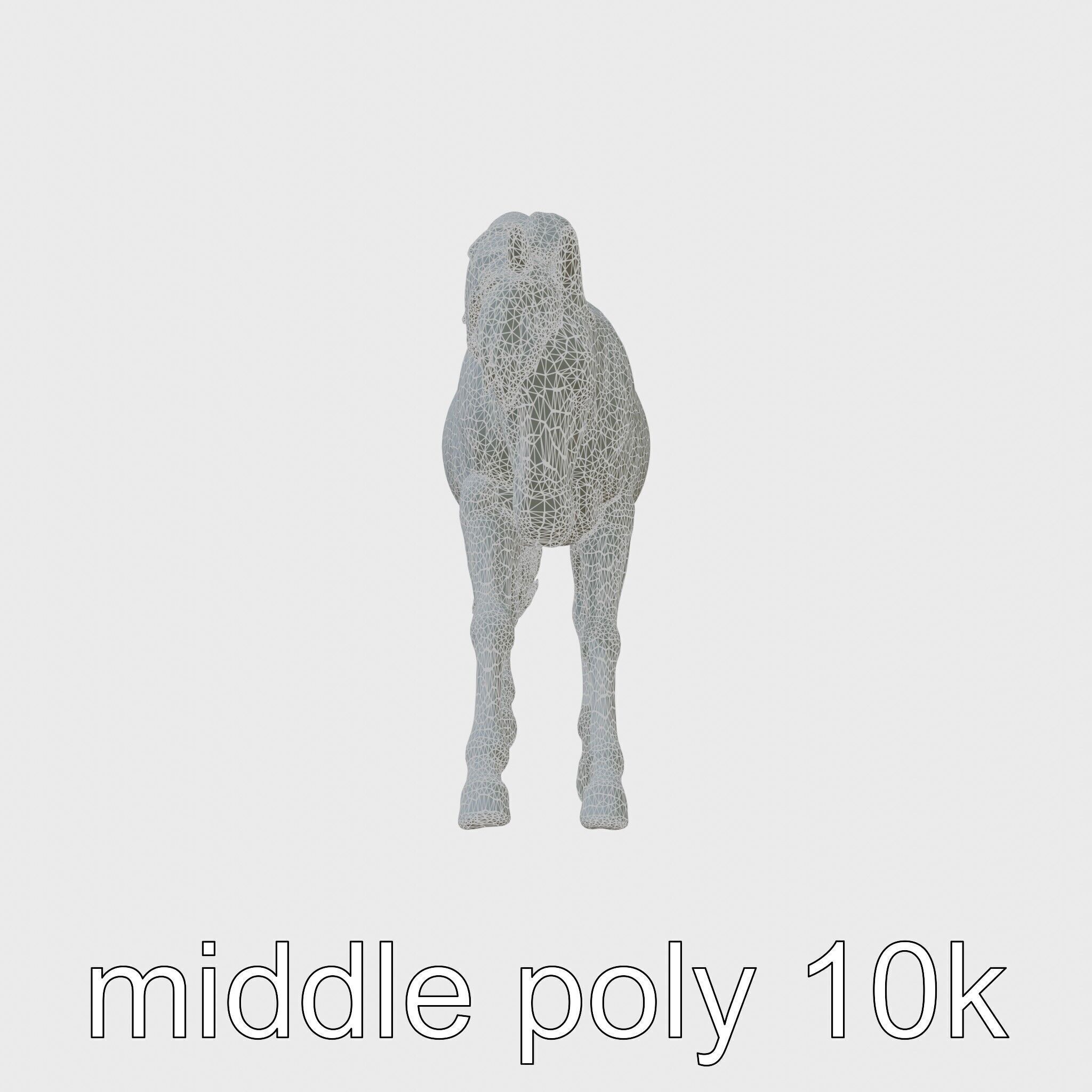 Majestic Black Friesian Horse in Motion Low-poly 3D model_12