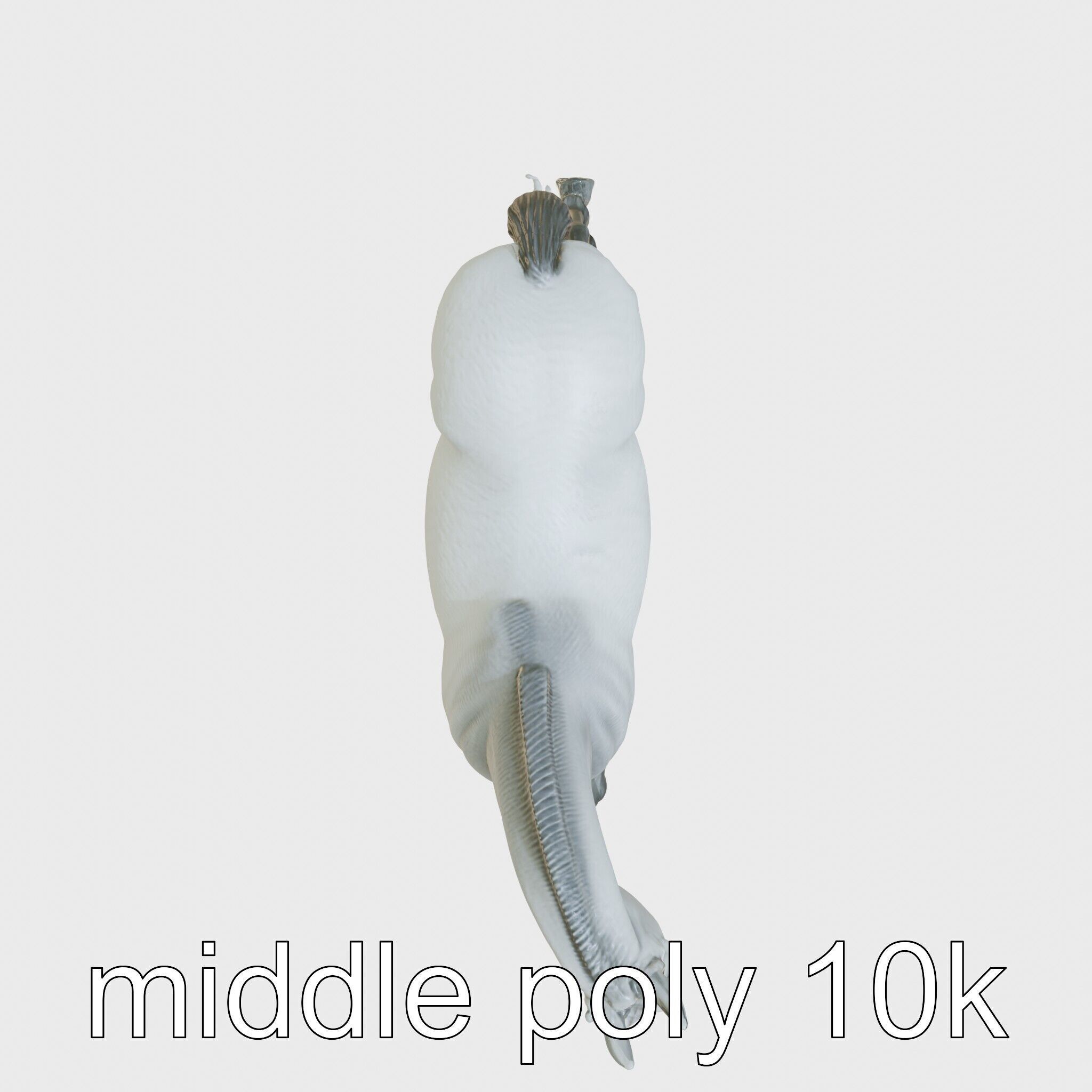 Regal Gray Percheron Horse 3D Model Low-poly 3D model_8