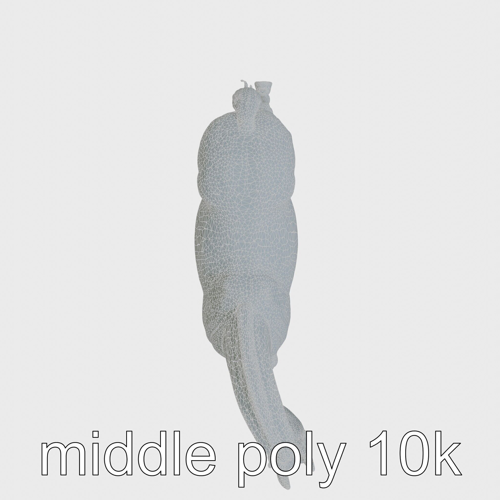 Regal Gray Percheron Horse 3D Model Low-poly 3D model_26